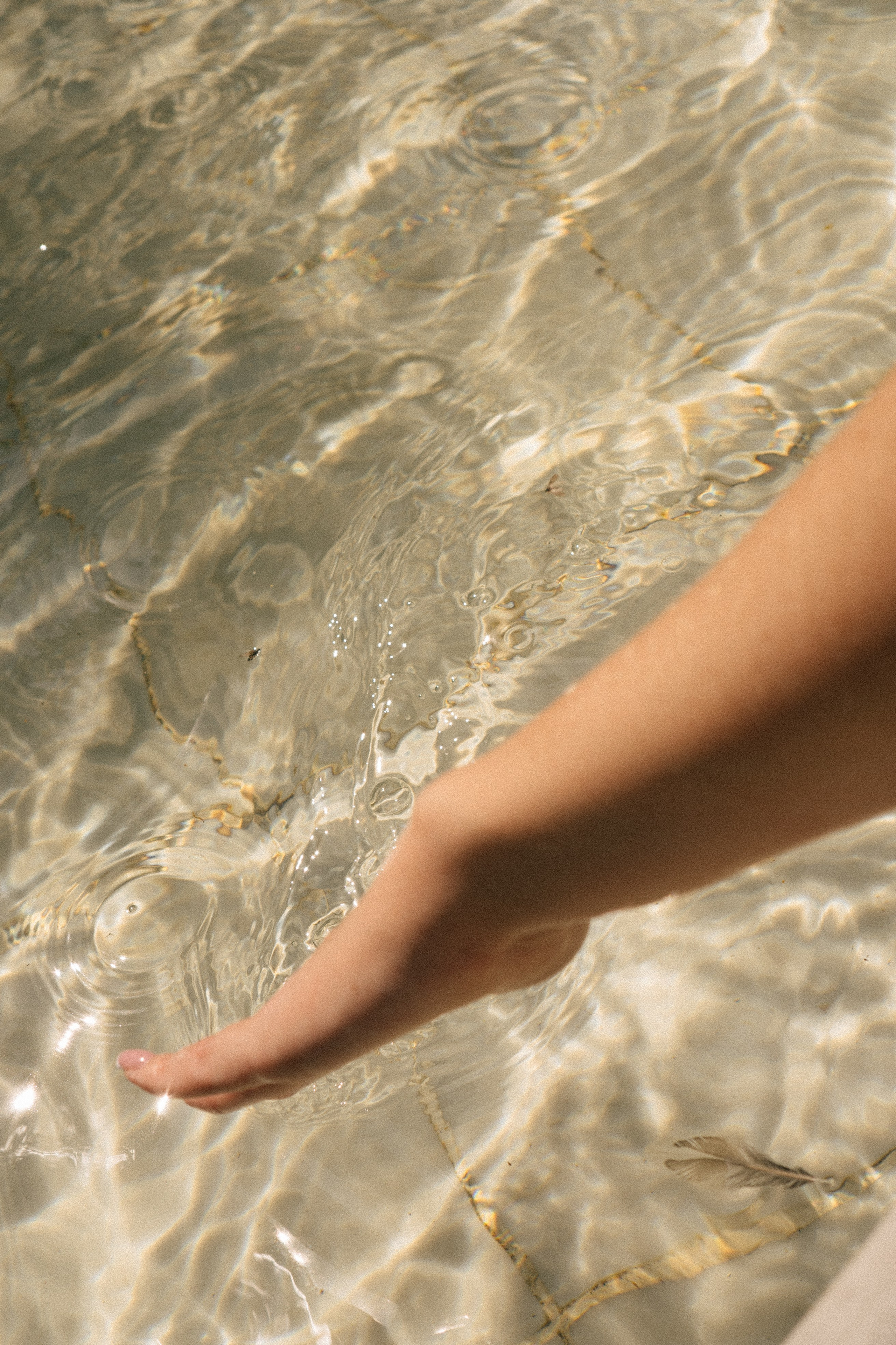 ПРОГУЛКА ПО ЛЕТНЕМУ САДУ. Профессиональный фотограф, Санкт-Петербург — Виктория Богомолова