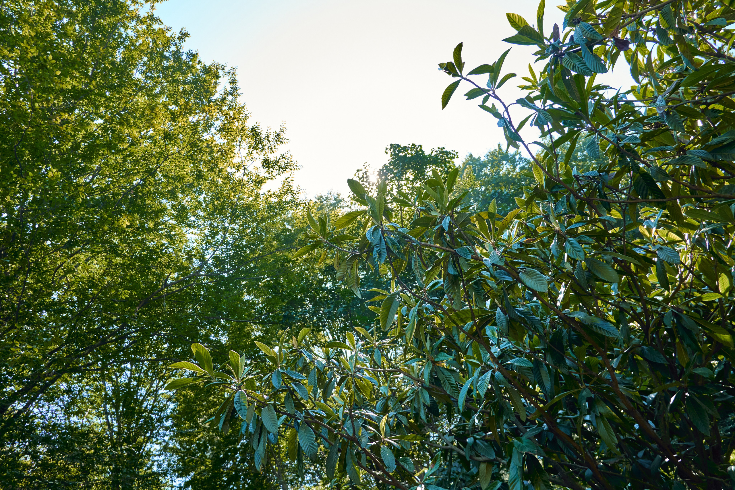 1000 Магнит Аптека Сочи. ЦАРЕВ ДМИТРИЙ — ФОТОГРАФ ЧЕЛЯБИНСК