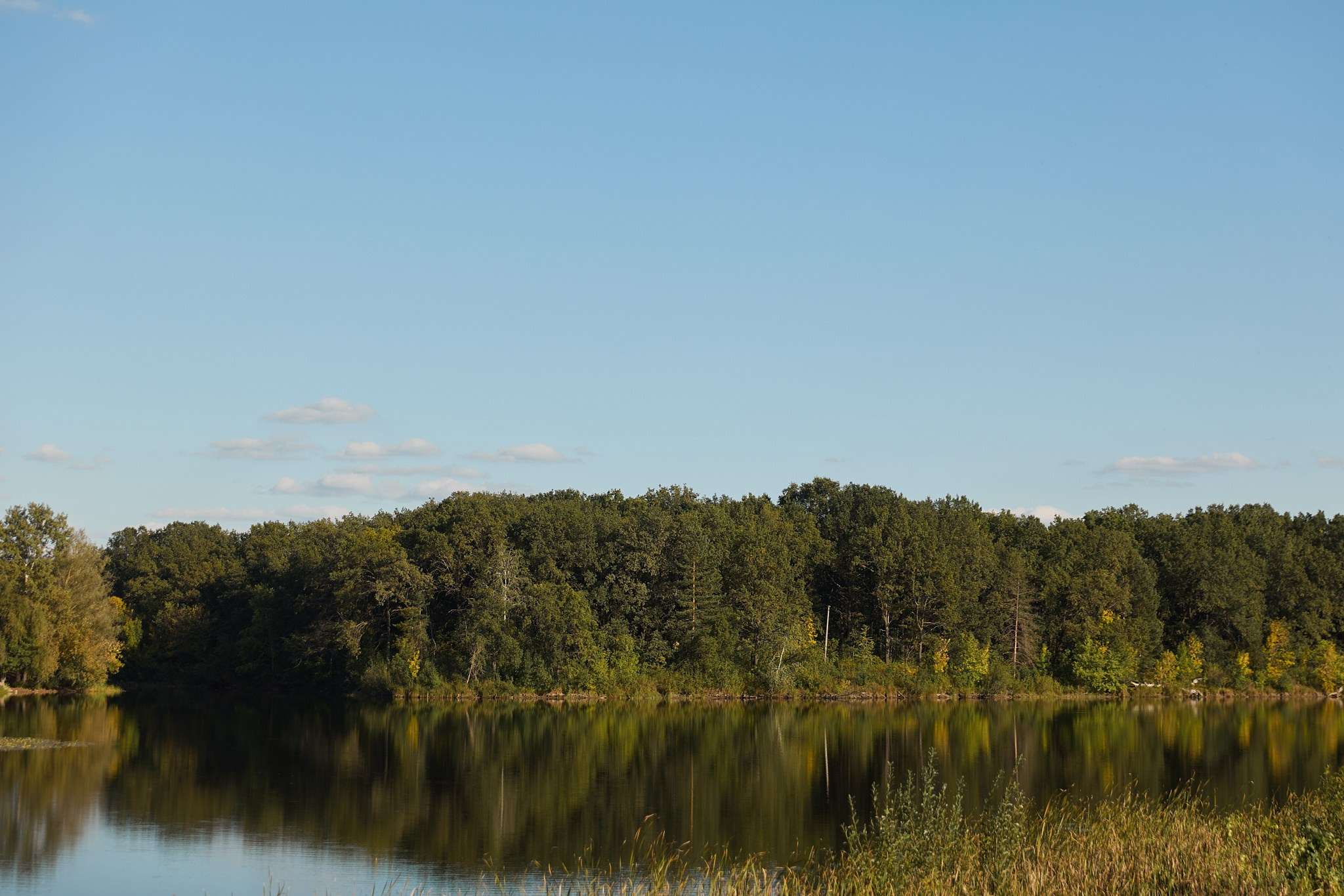 Дарья и Роман