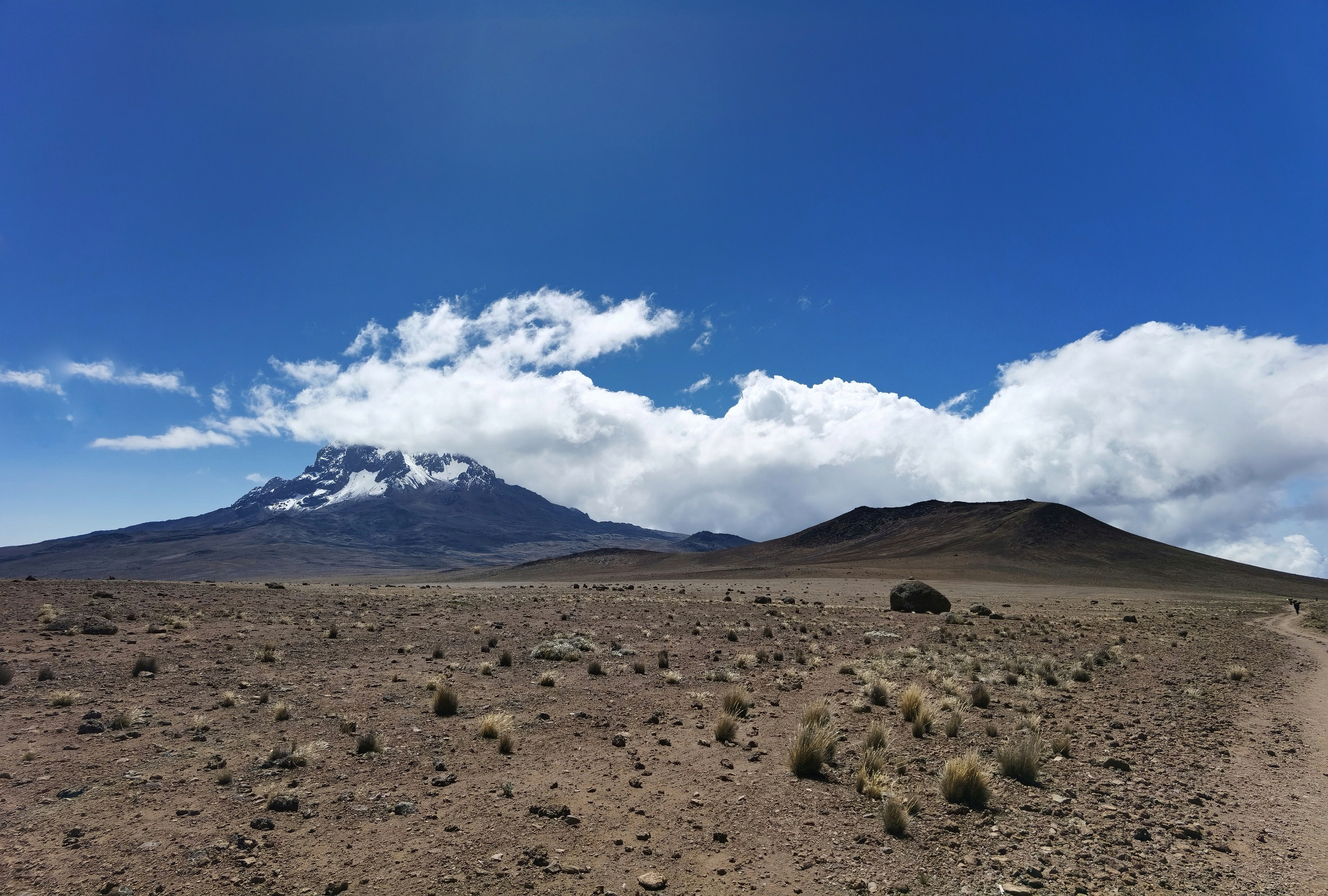 Килиманджаро