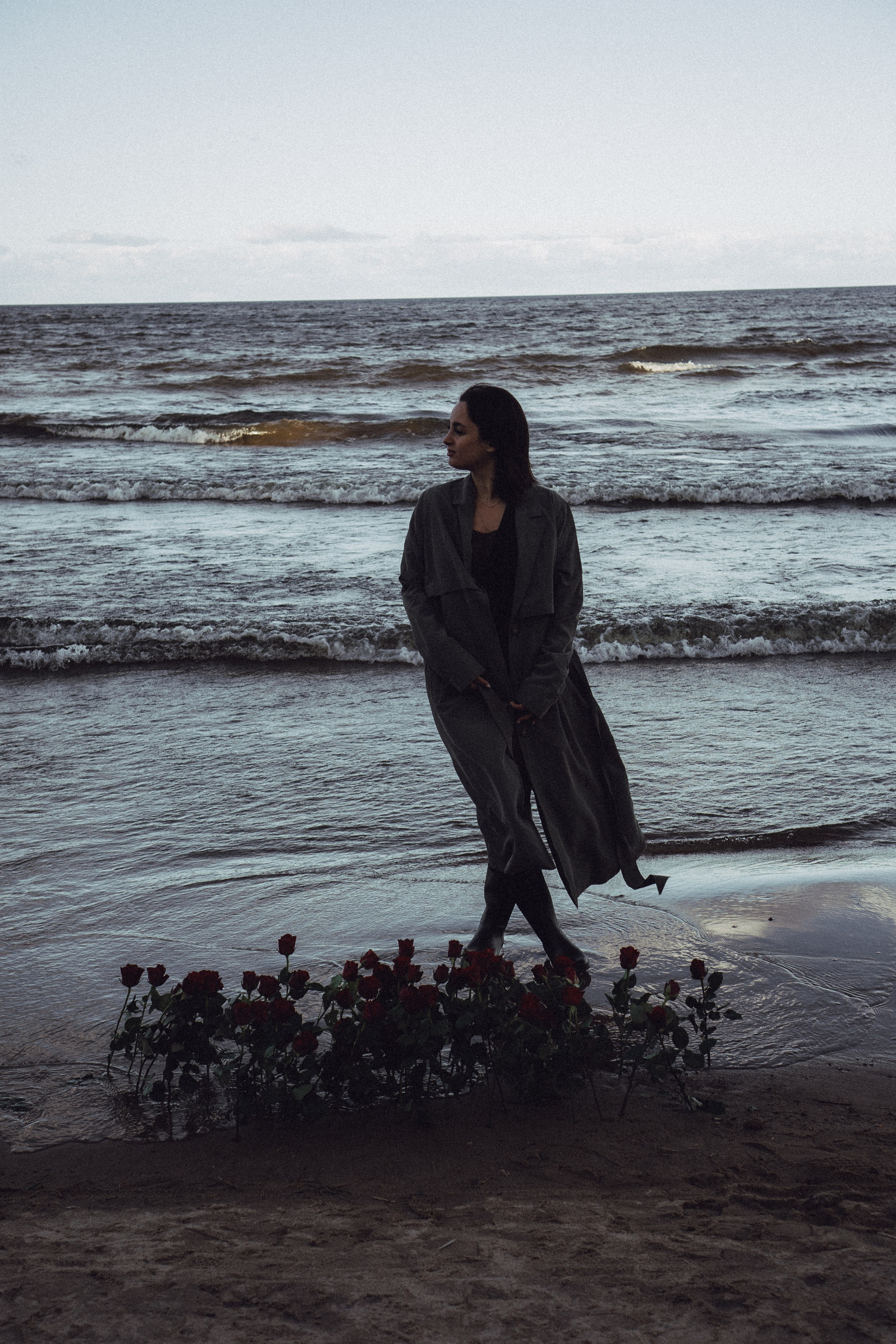 Розы. Профессиональный фотограф, Санкт-Петербург — Виктория Богомолова