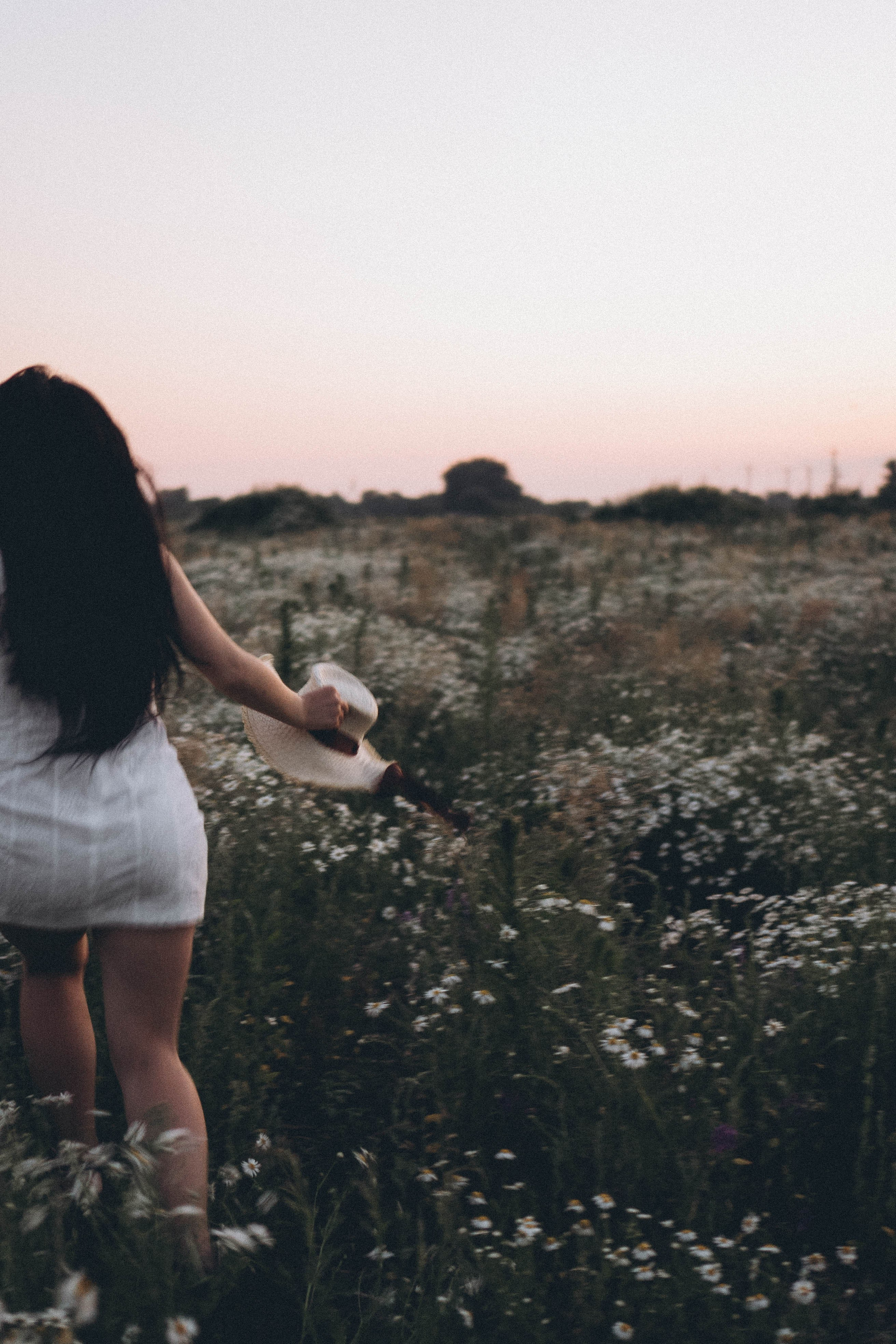 Ромашковое поле. Профессиональный фотограф, Санкт-Петербург — Виктория Богомолова