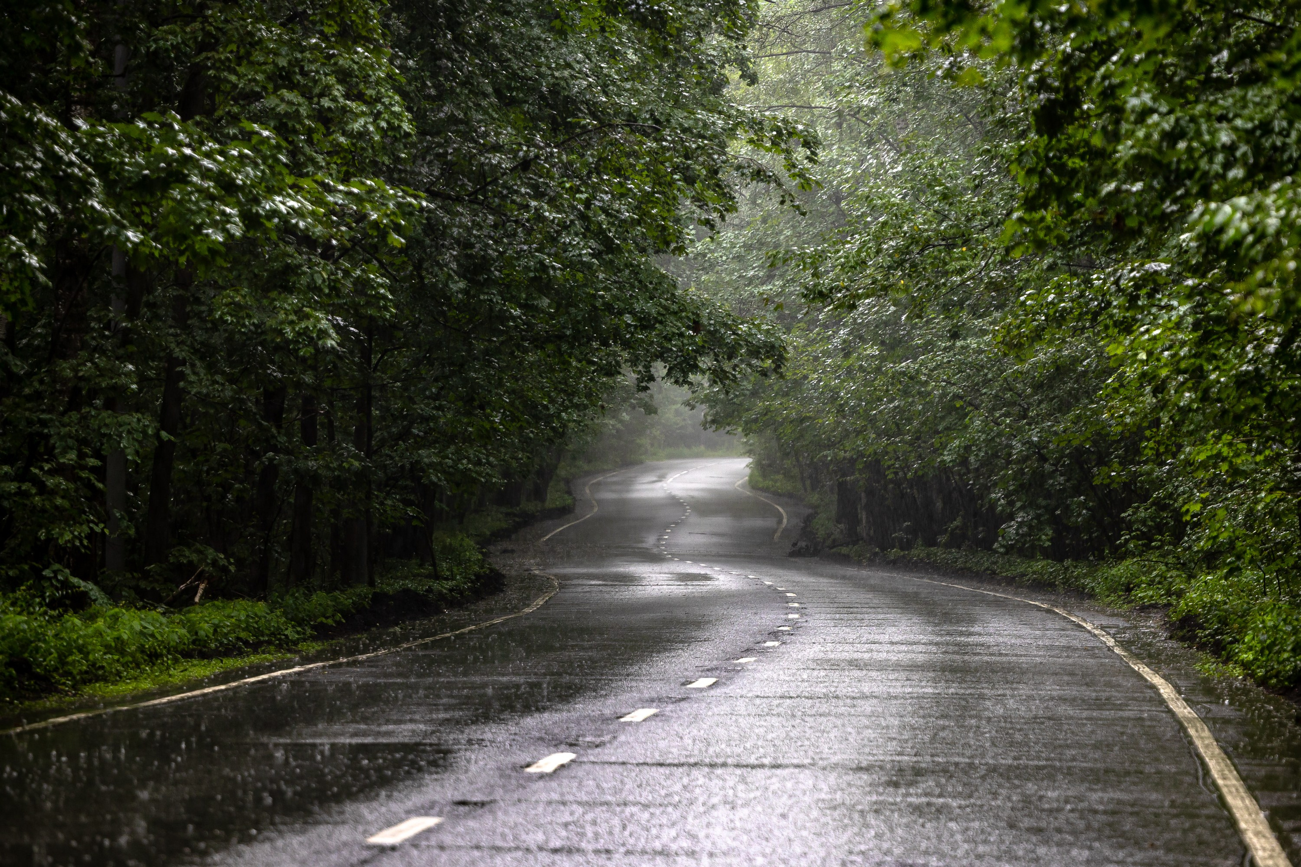 Городской пейзаж. Фотограф Владимир Охрименко