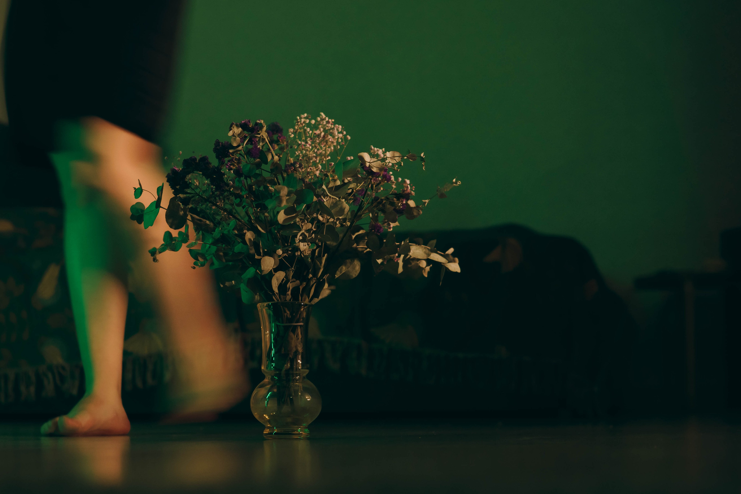 Милена. Фотограф-анималист Ксения Воробьева, Москва