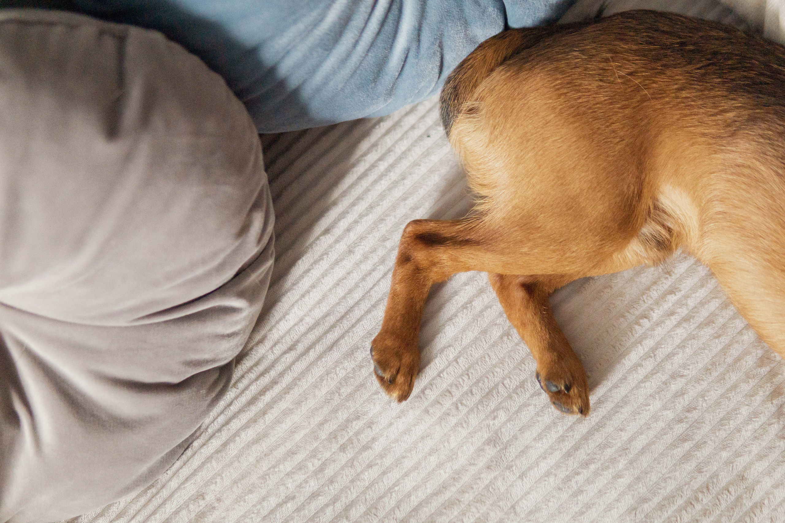 Надя и Ефим. Фотограф-анималист Ксения Воробьева, Москва