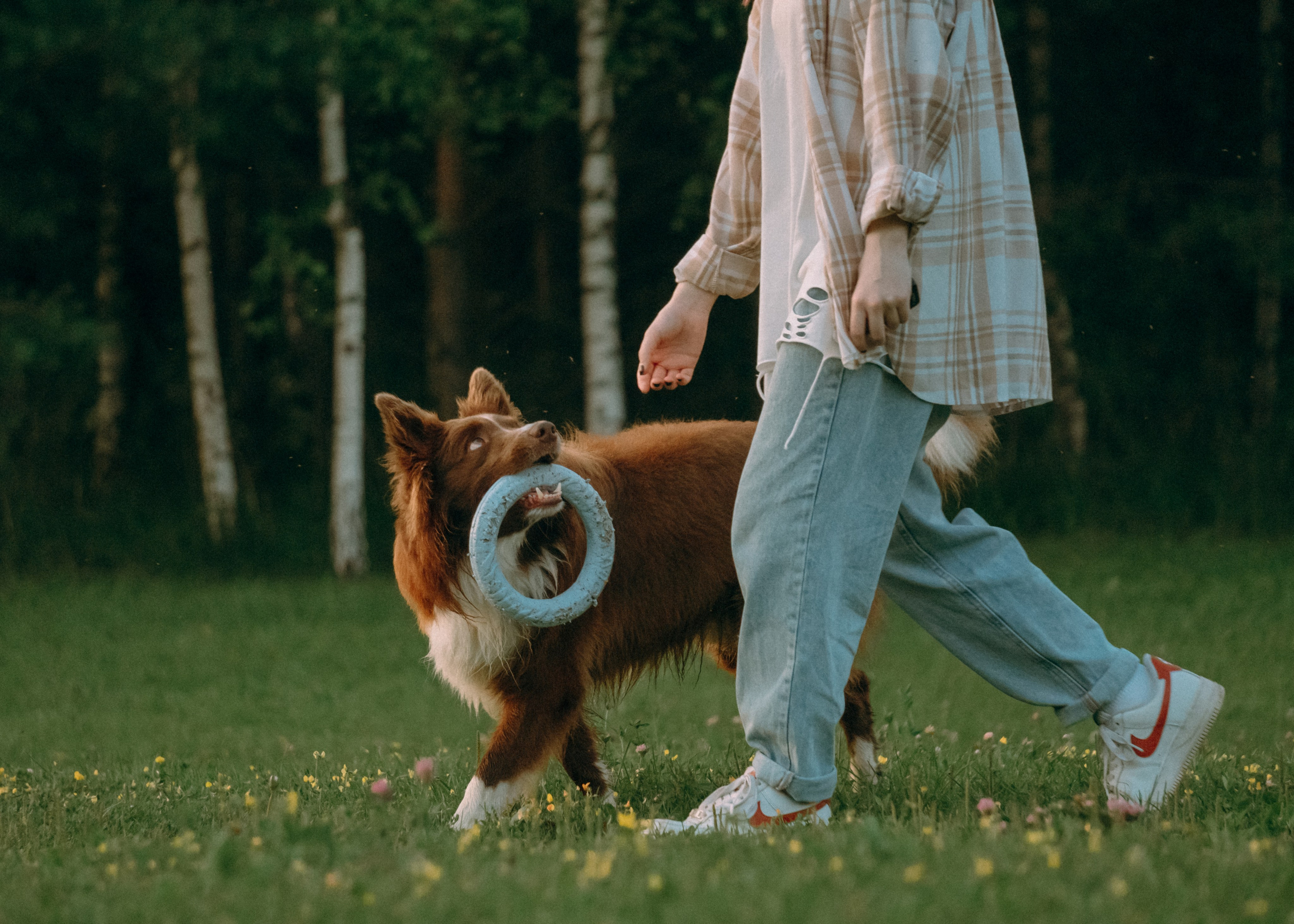 Виолетта, Лила и Питер. Фотограф-анималист Ксения Воробьева, Москва