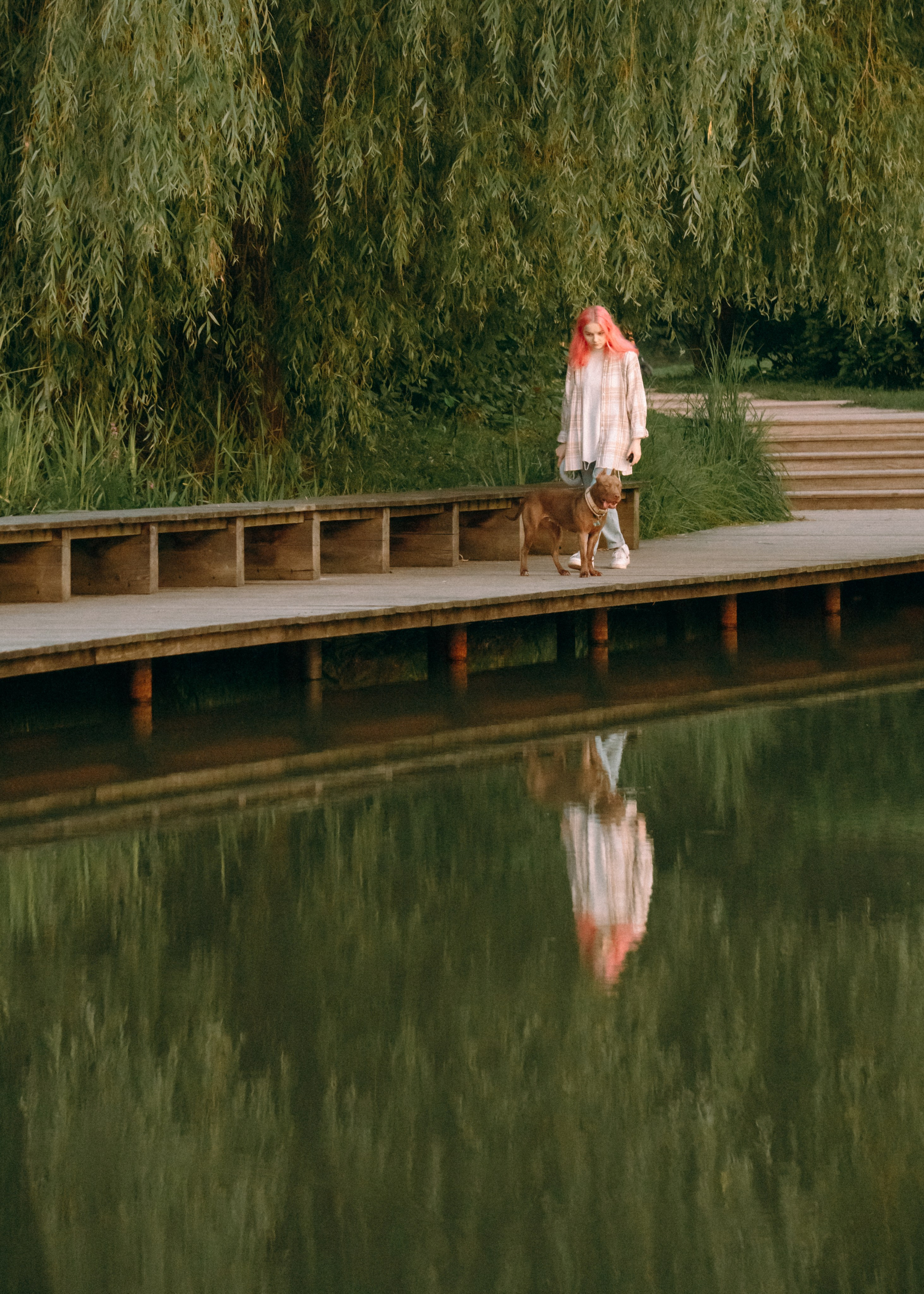 Виолетта, Лила и Питер. Фотограф-анималист Ксения Воробьева, Москва