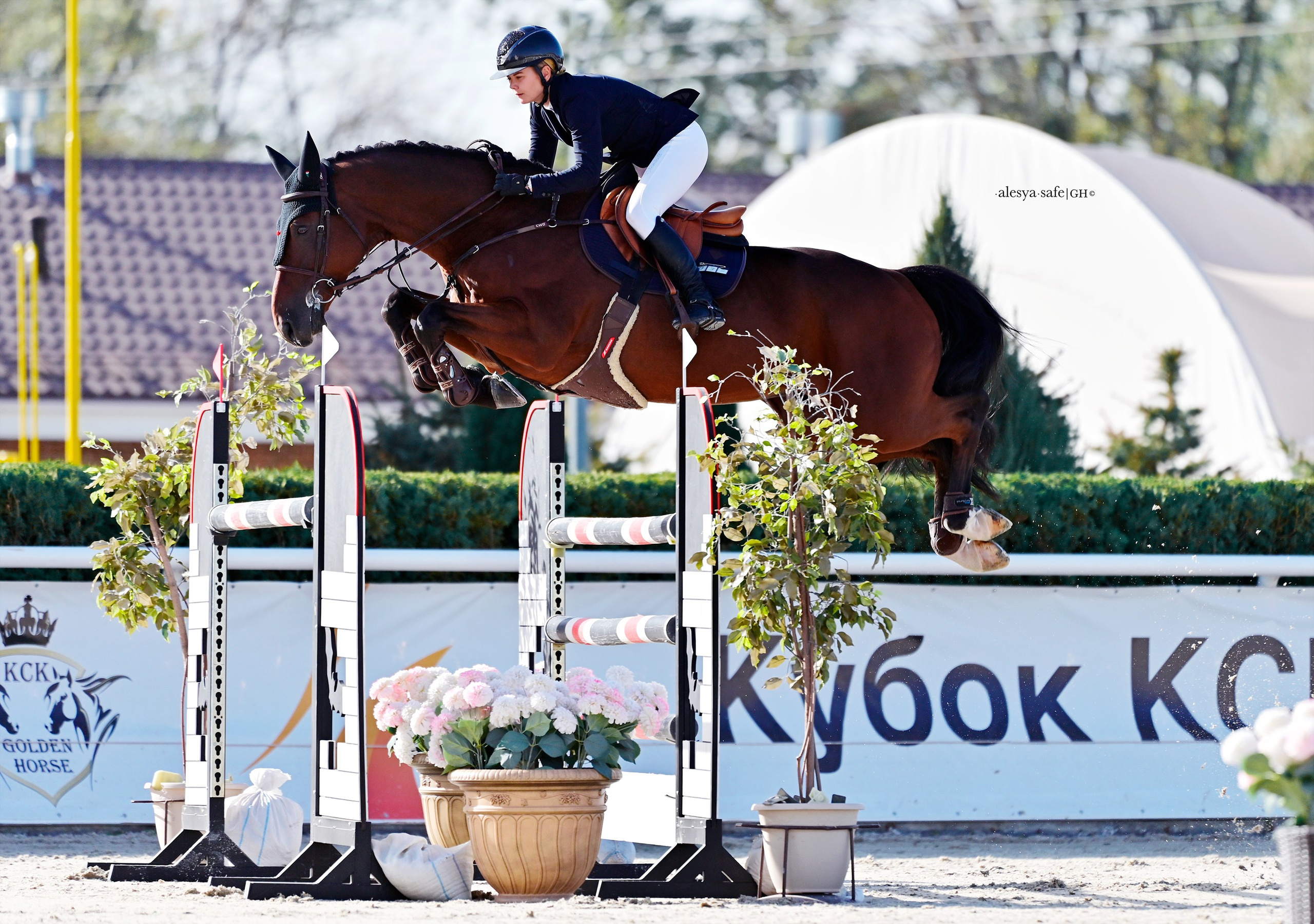 Спортивная конная фотография