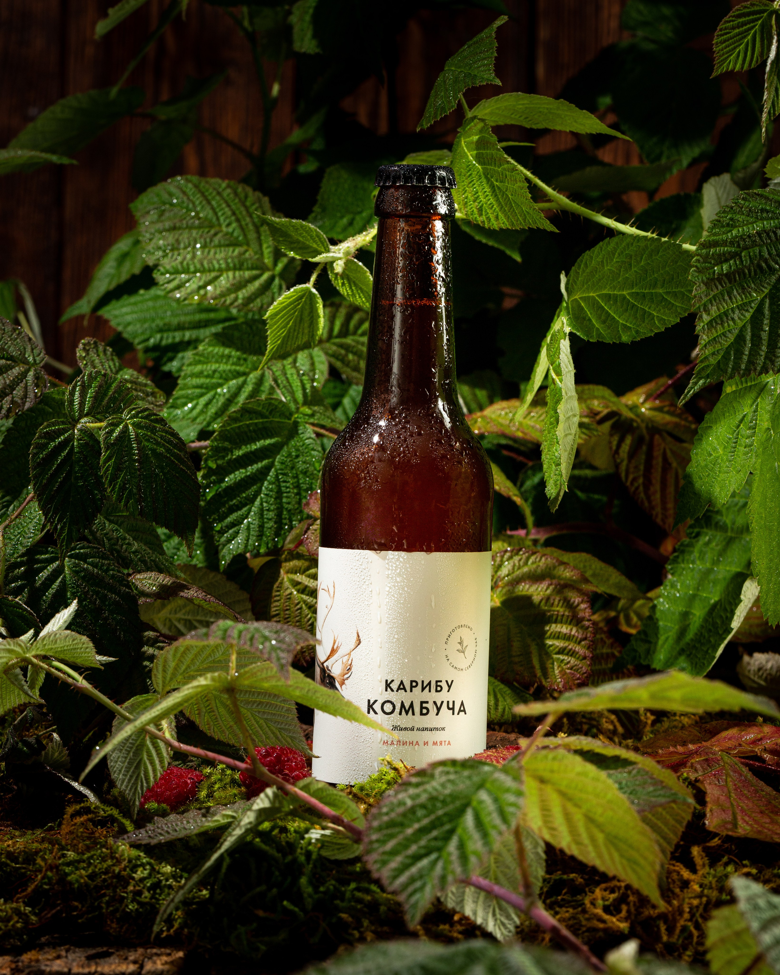 Напитки. Краснов Максим фуд-фотограф, предметный фотограф, Москва