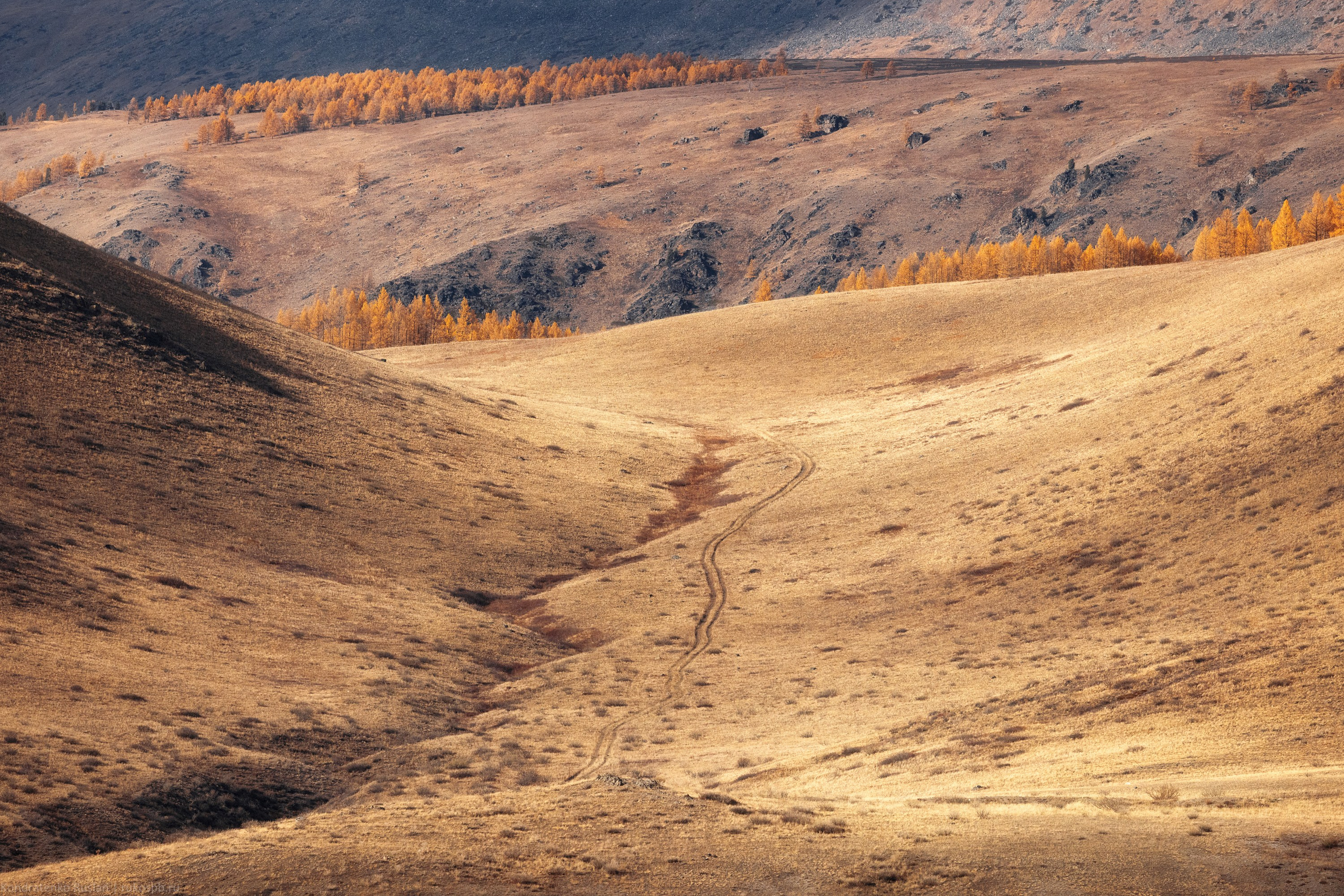 Горный Алтай. Архитектурный и пейзажный фотограф Кондратенко Руслан, Санкт-Петербург