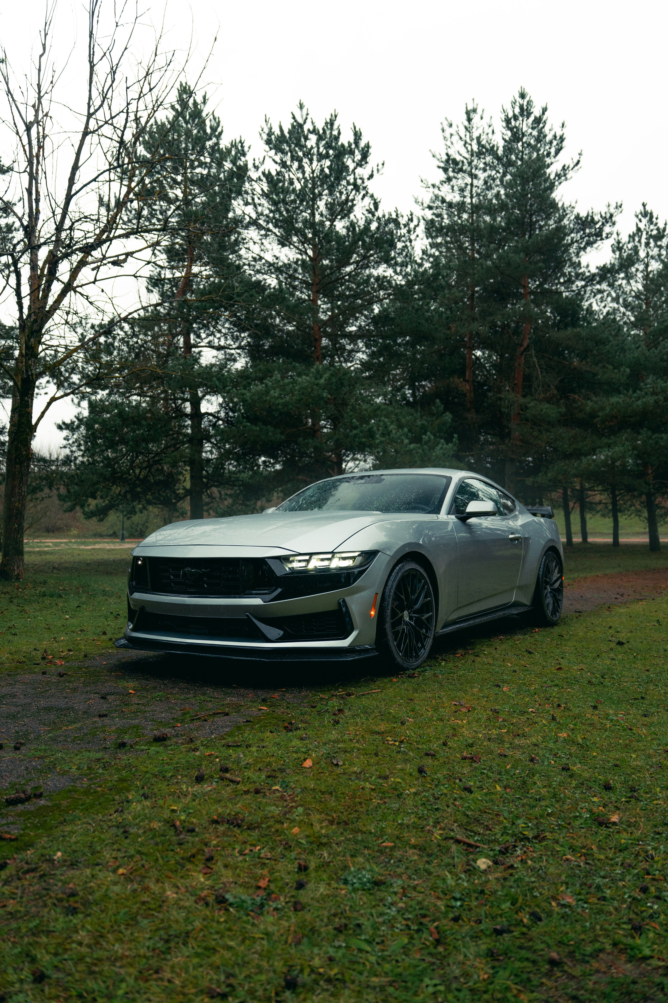 Фотографии Ford Mustang