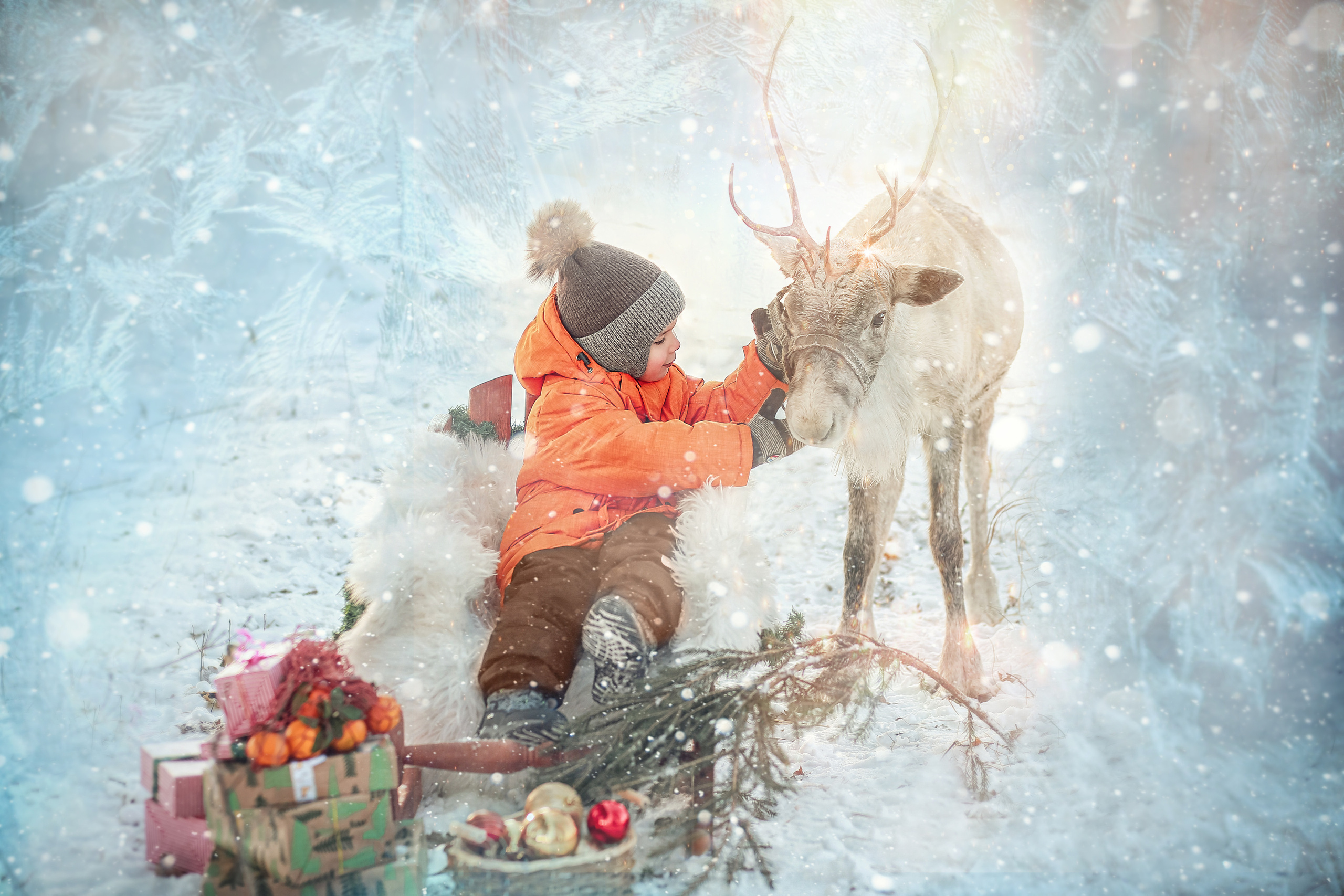 Фотосессия с северным оленем Белла. Иванова Ирина Свадебный и семейный фотограф г. Уфа