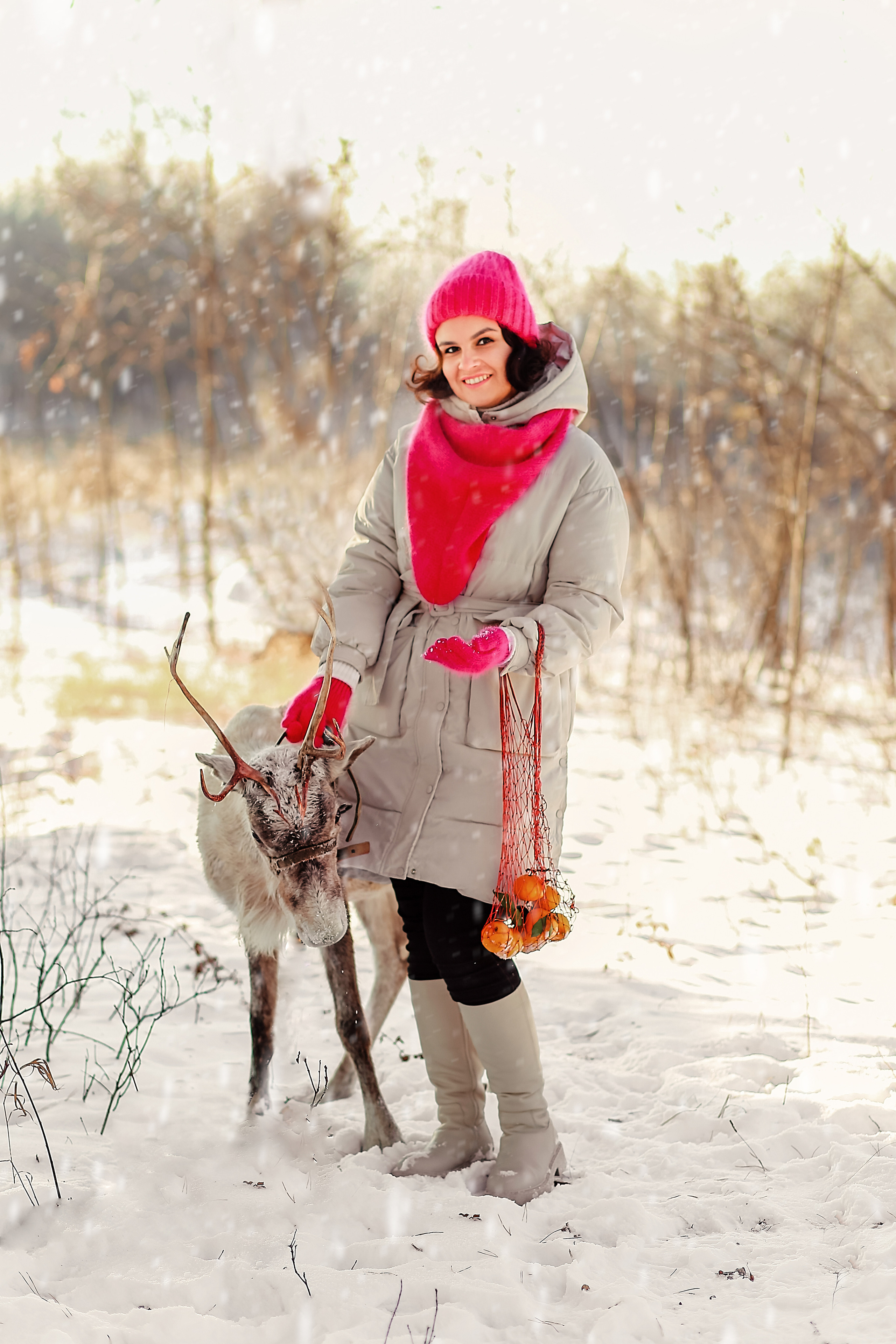 Фотосессия с северным оленем Белла. Иванова Ирина Свадебный и семейный фотограф г. Уфа