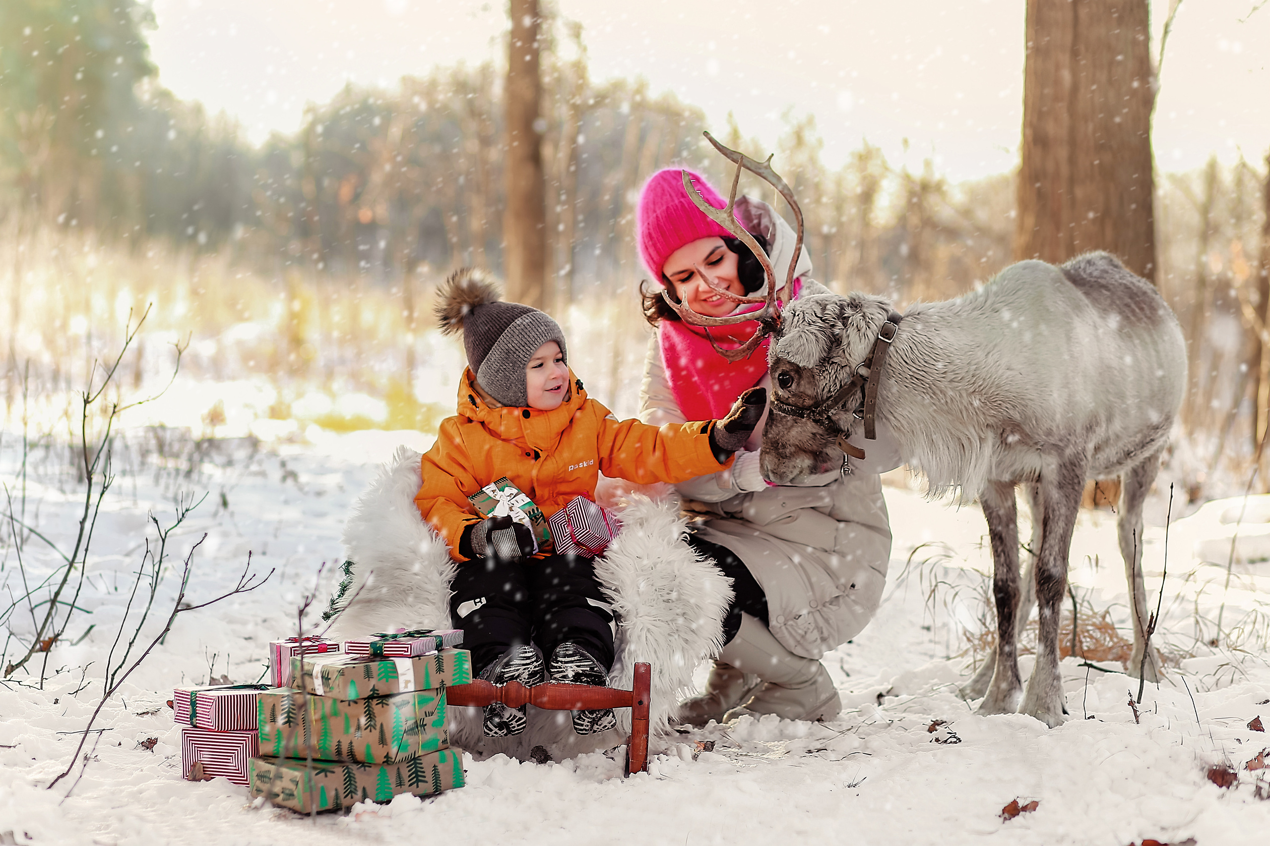 Фотосессия с северным оленем Белла. Иванова Ирина Свадебный и семейный фотограф г. Уфа