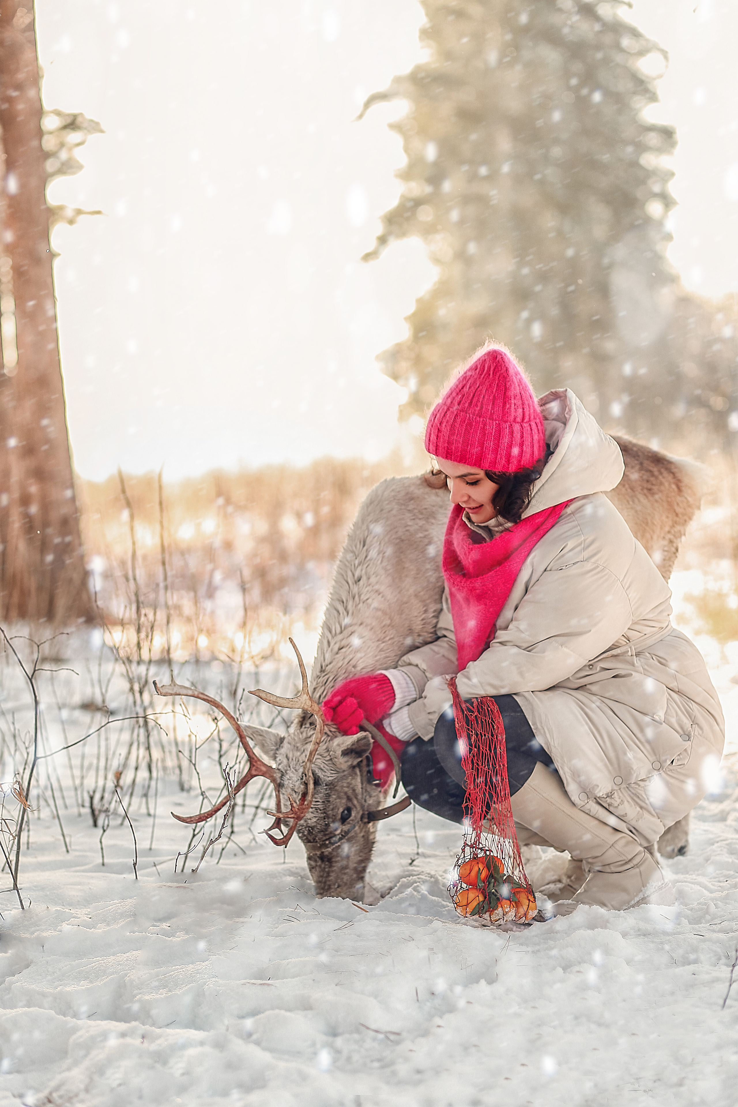 Фотосессия с северным оленем Белла. Иванова Ирина Свадебный и семейный фотограф г. Уфа