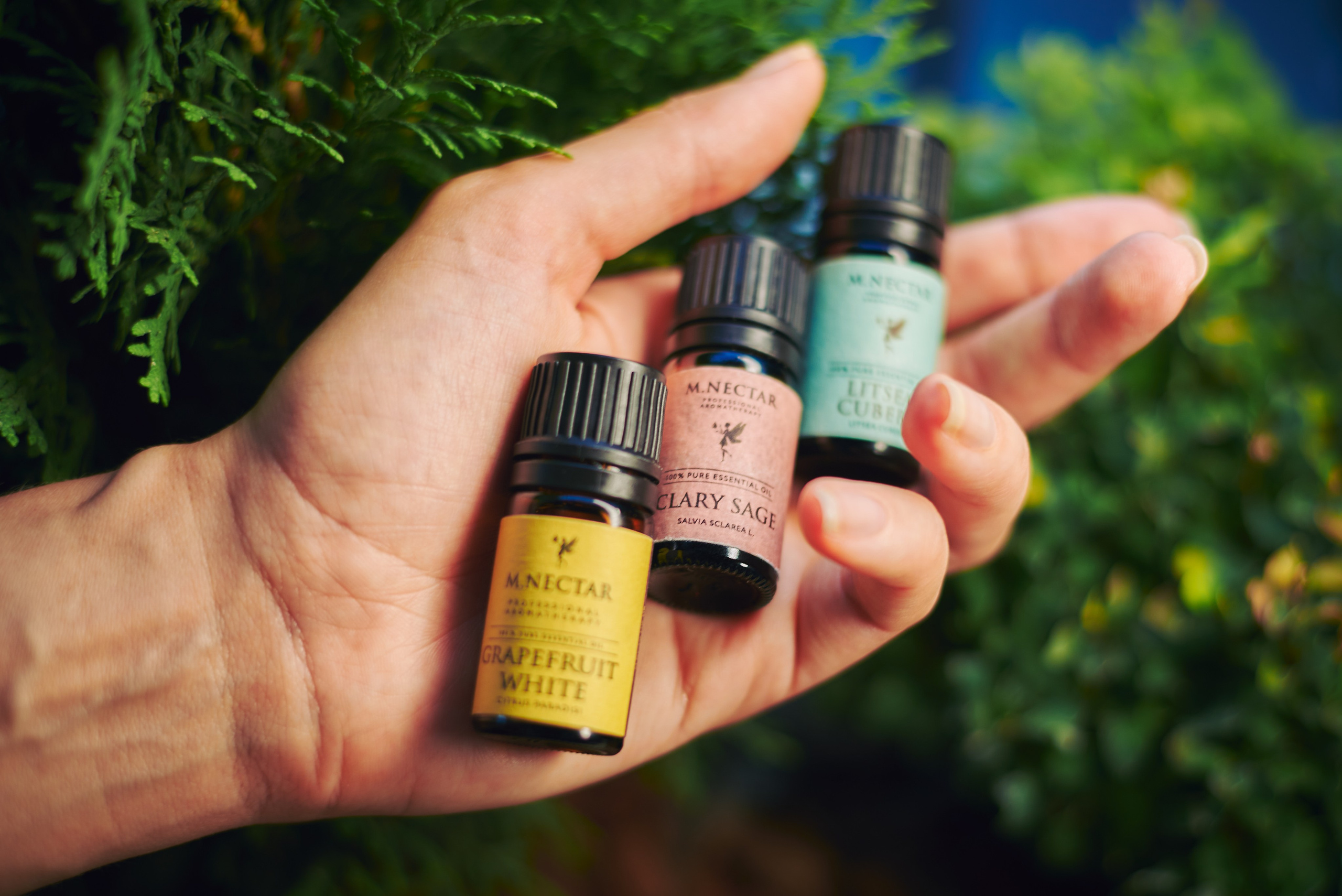 Ароматерапия. Контентная съёмка. Константин Кордонский | Интерьерный и food-фотограф в Кисловодске и КМВ