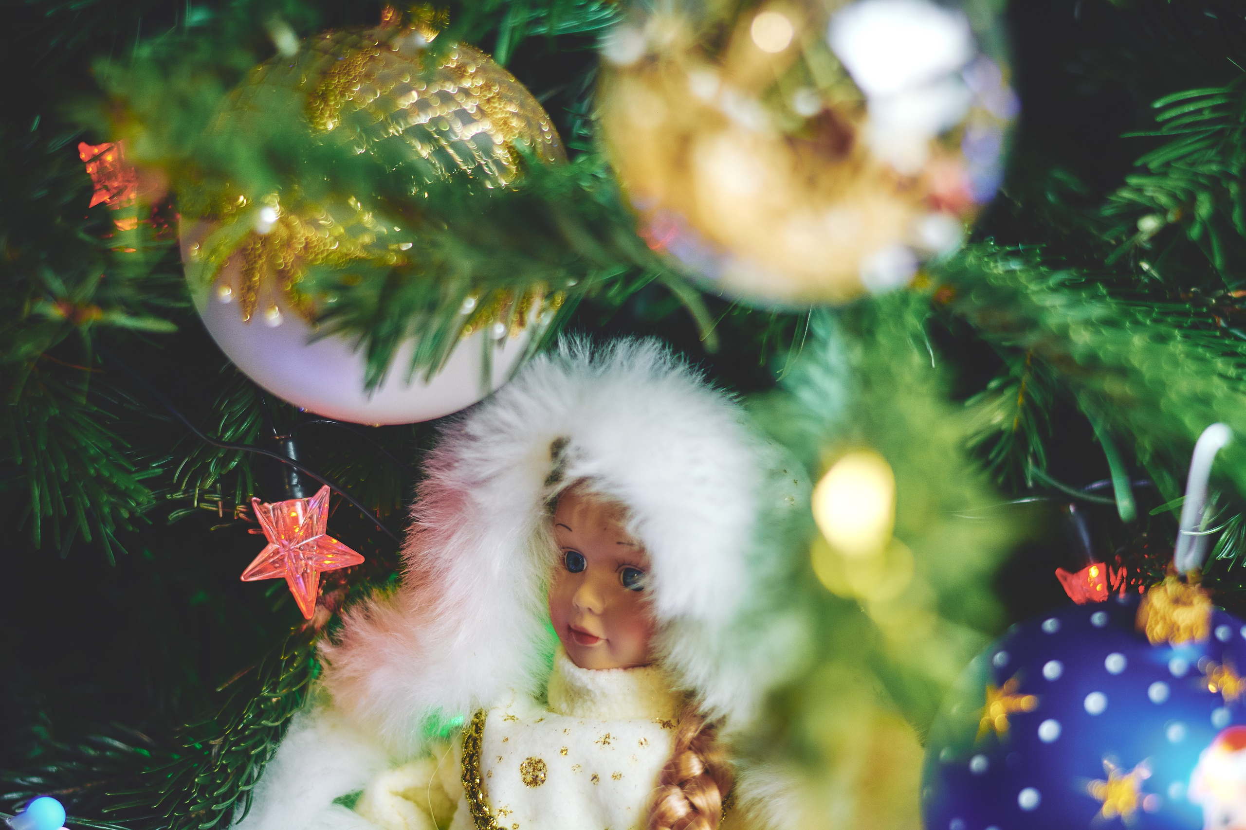 Ресторан. Запуск нового интерьера. Константин Кордонский | Интерьерный и food-фотограф в Кисловодске и КМВ