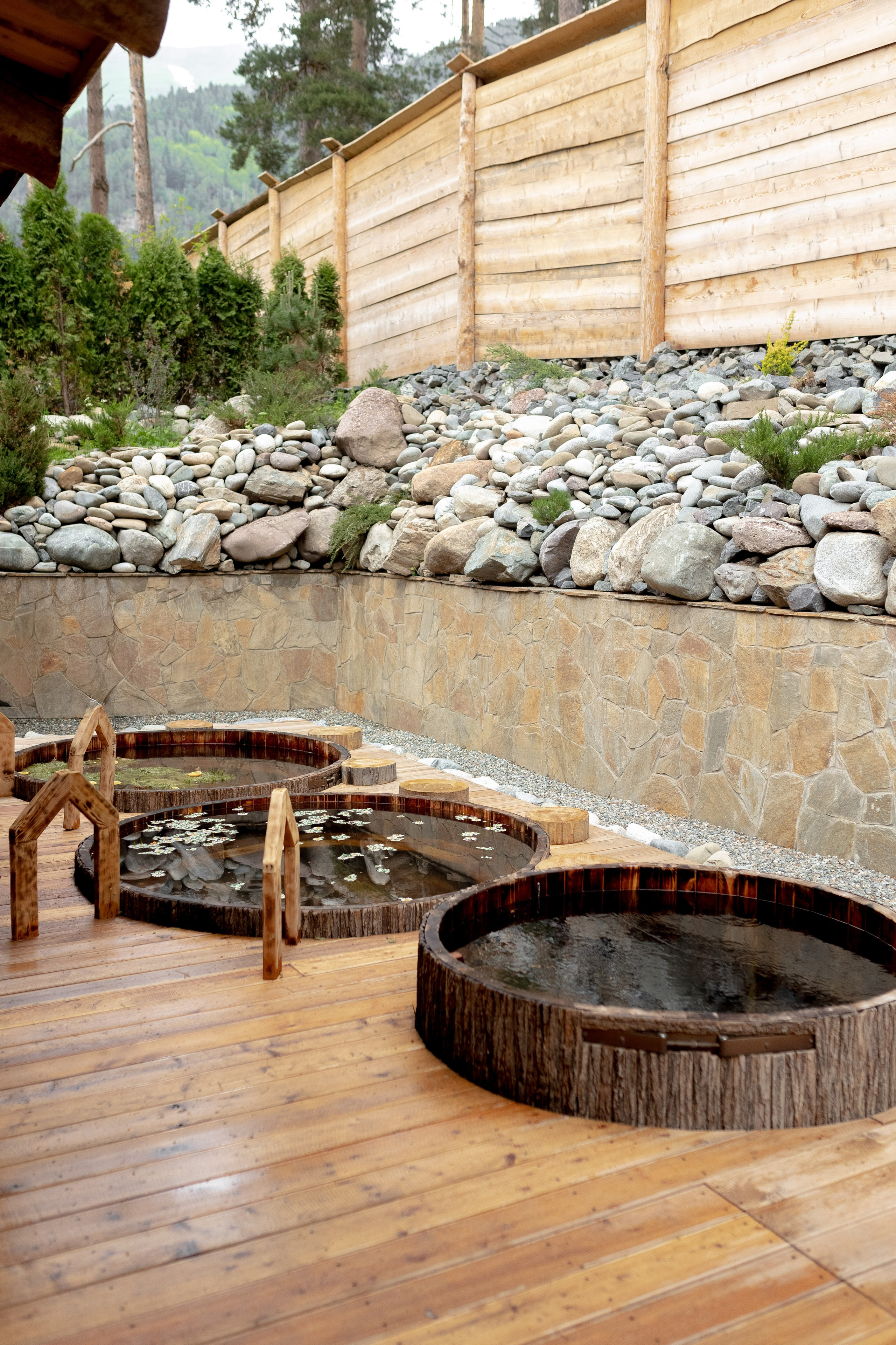 Кавказ Пар. Главная