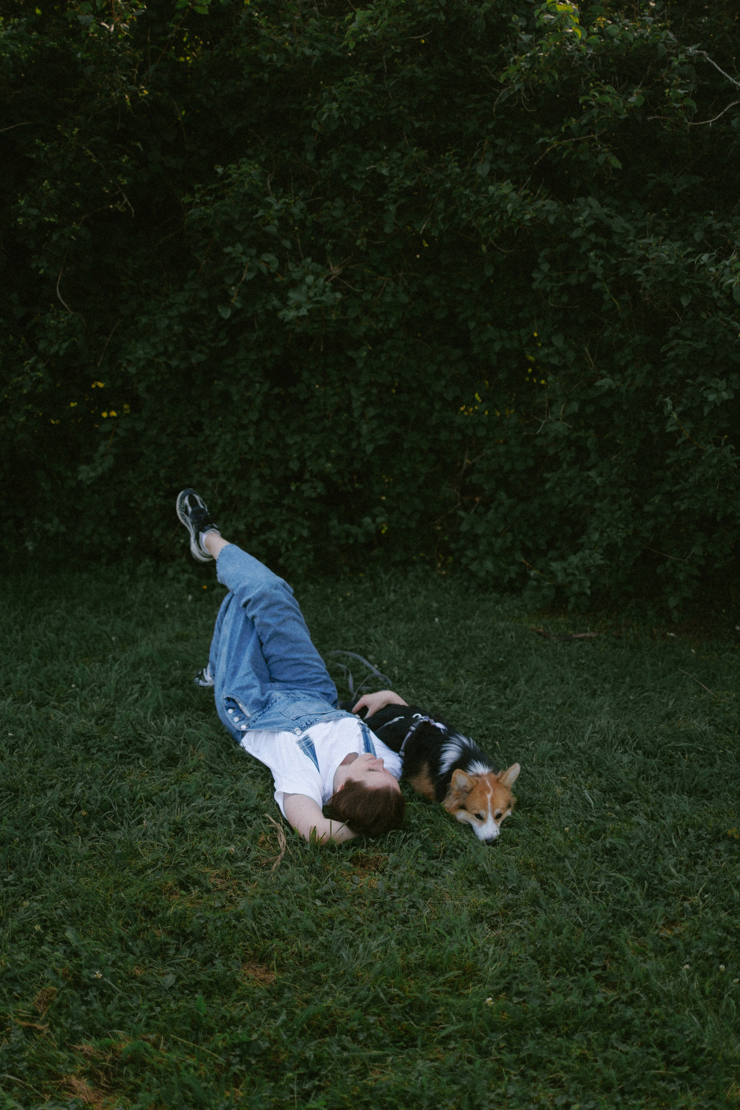 Мишель и Влада. Фотораф — анималист Мария Шистка