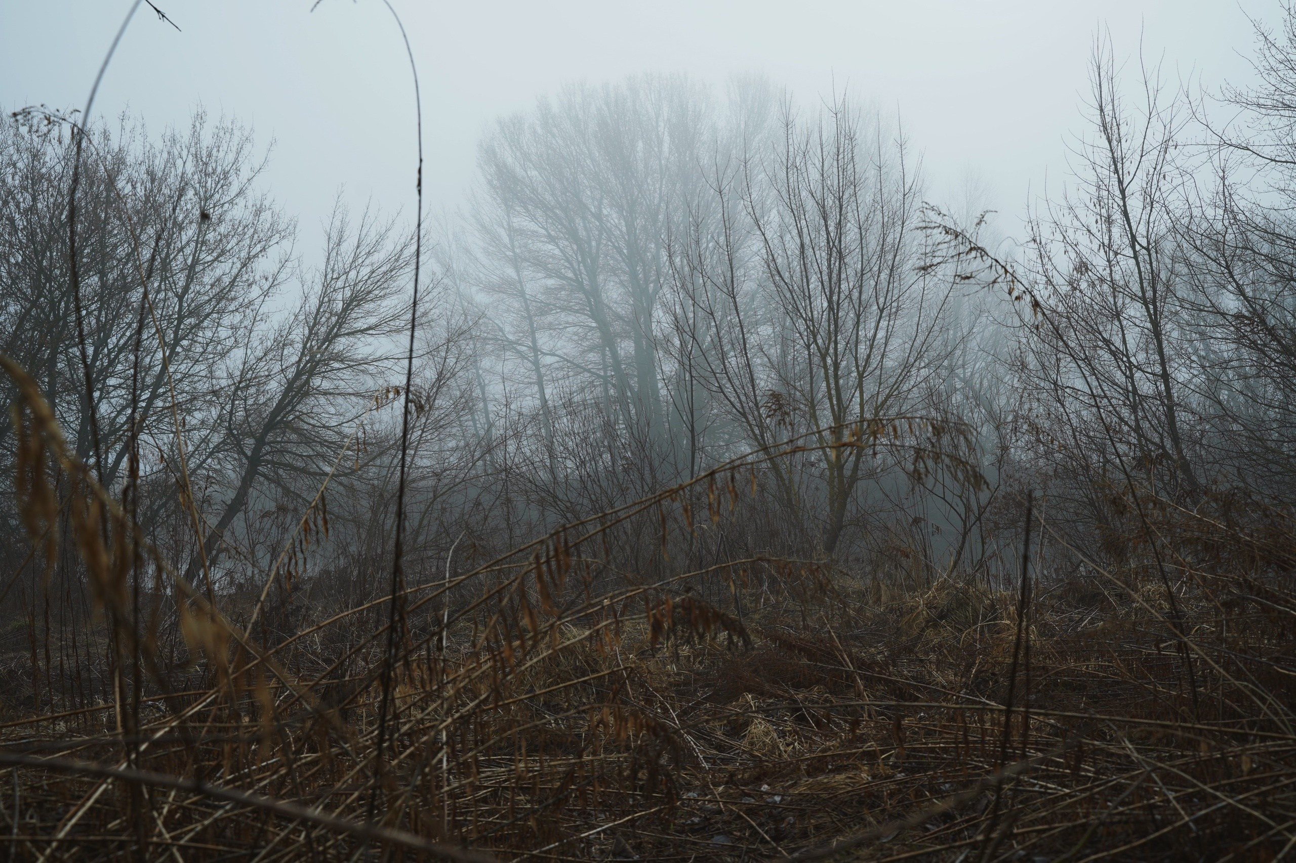 DIRTY RABBIT. Фотограф и визуальный художник в Туле / Николай Рейзвих