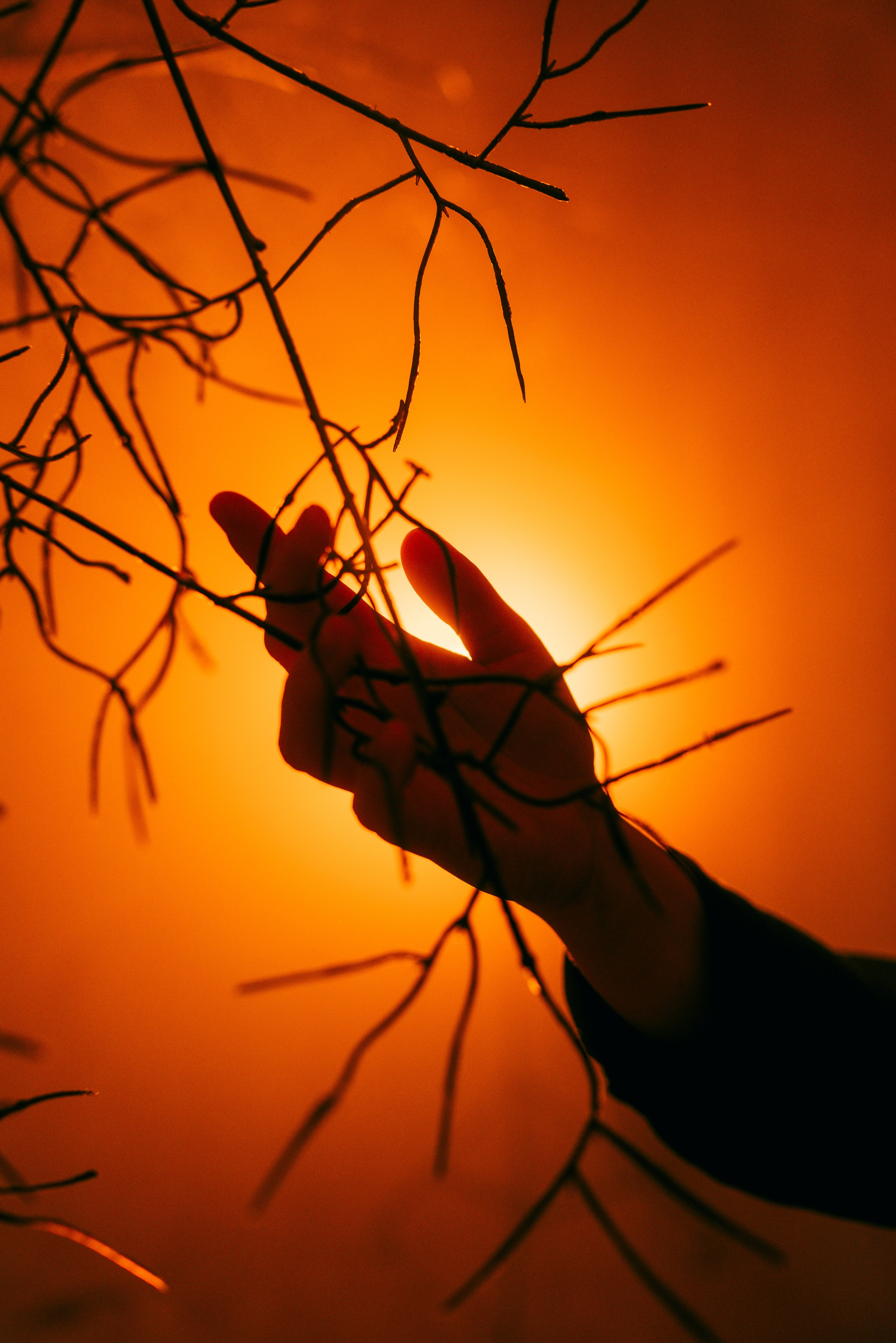 Фотоведьма Дарья Нечинская