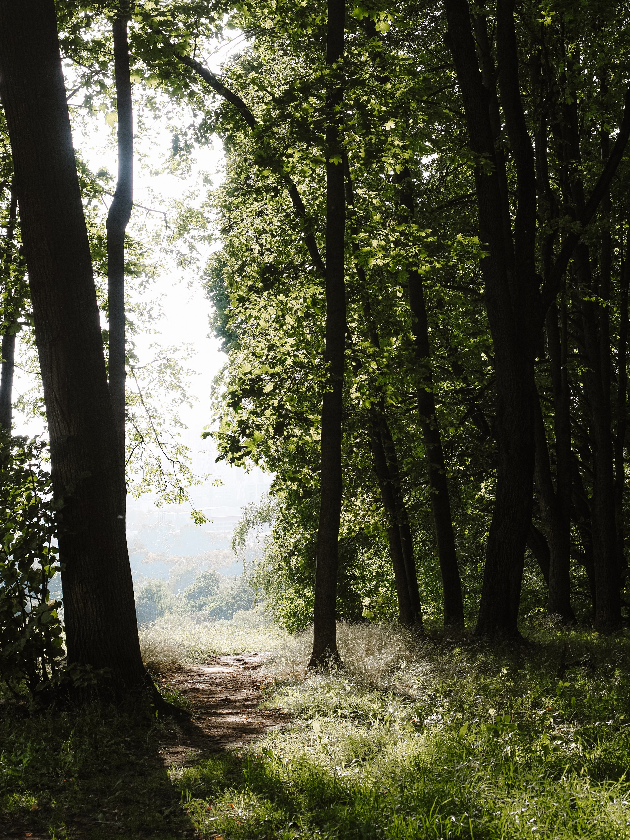 ❣️. Фотограф Рязань. Семейный Свадебный фотограф