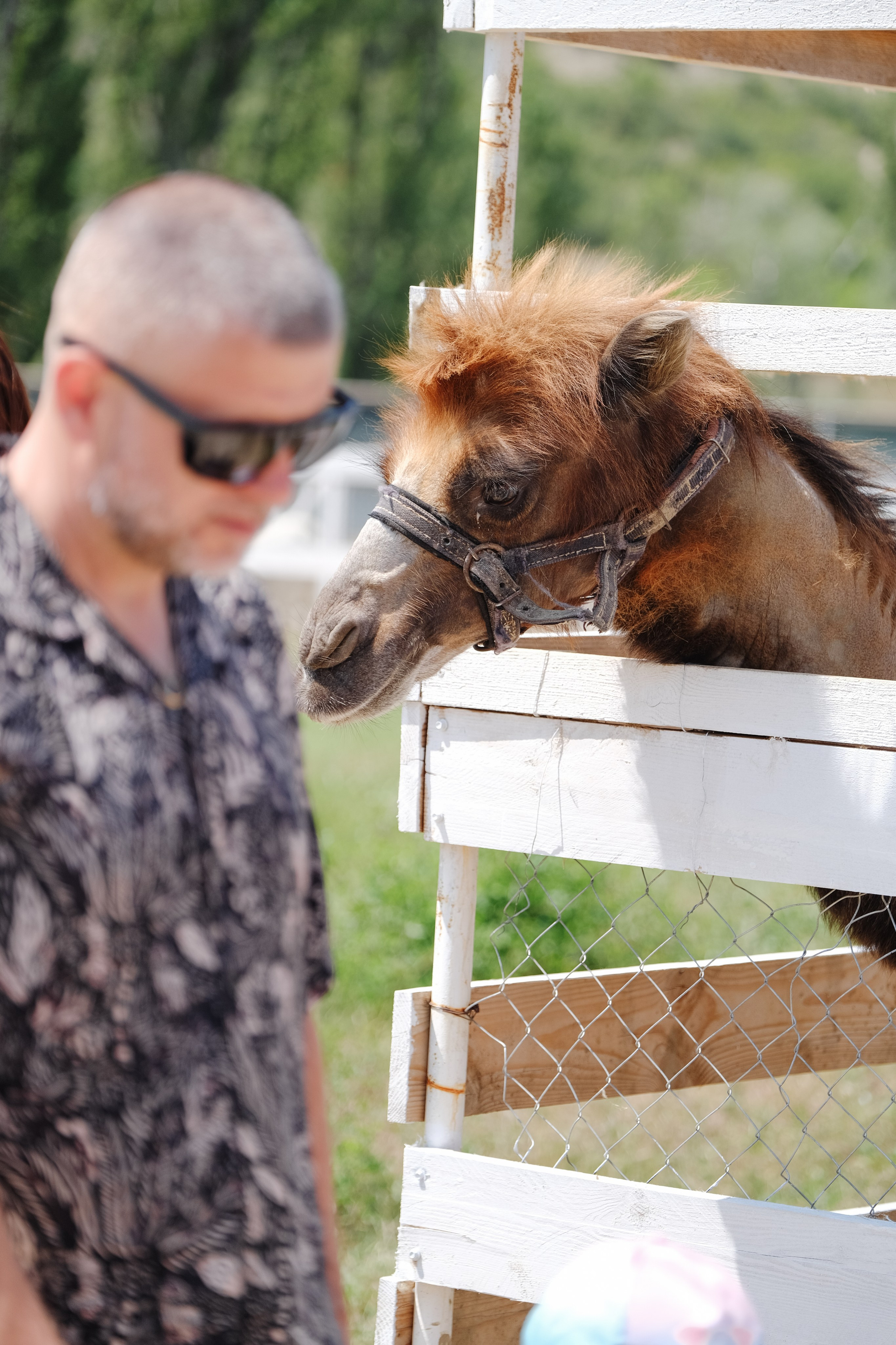 Репортаж на ферме. Профессиональная фотосъемка в Крыму. Натуральные эмоции и живые кадры. Забронируйте дату прямо сейчас!