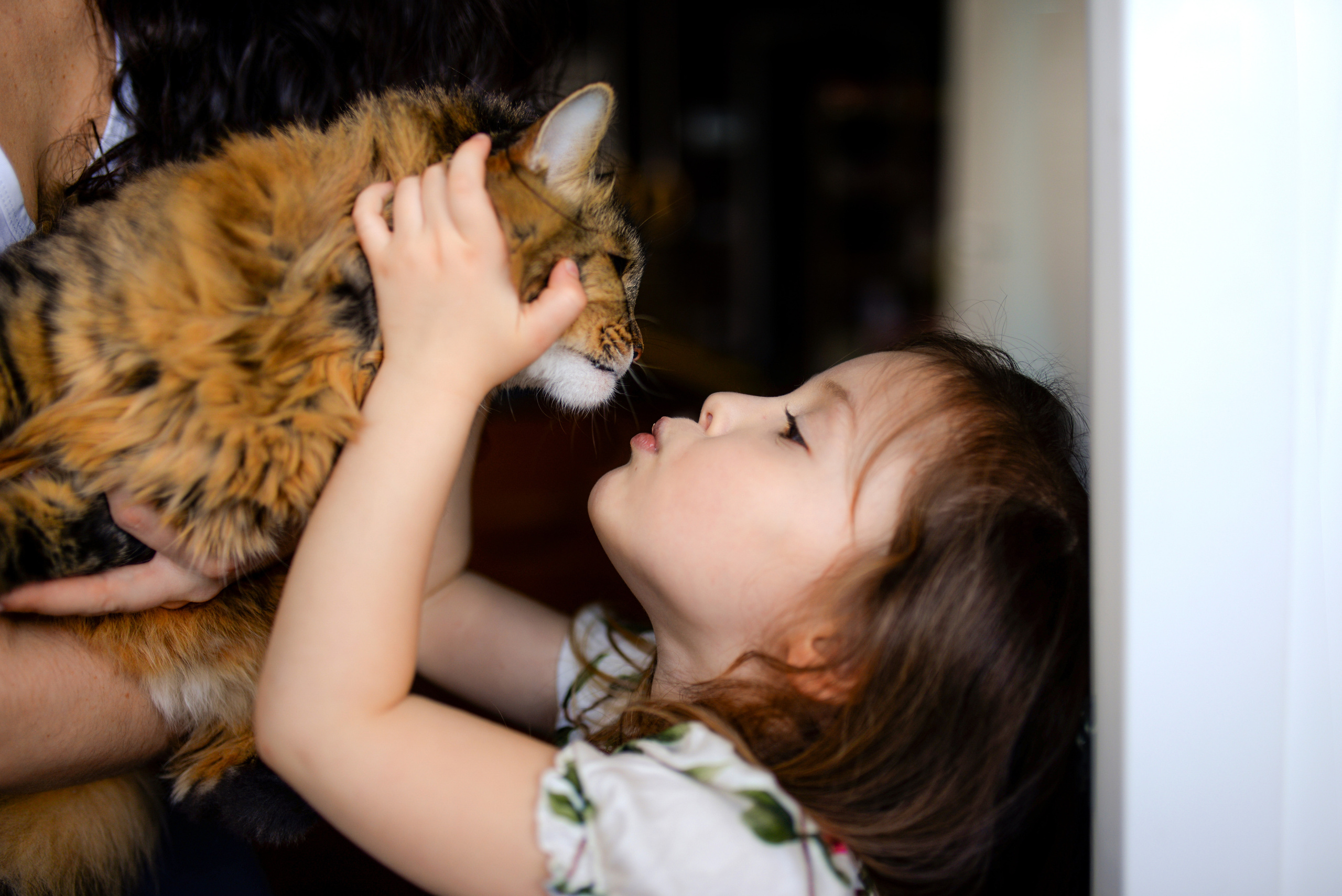 Домашняя съемка для Кати, Саши и Евы. Детский и семейный фотограф в Москве Ульяна Федорова