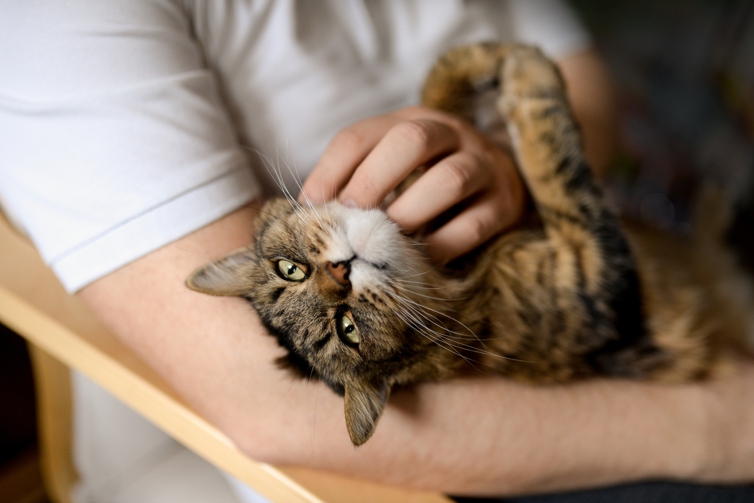 ДОМАШНИЕ СЪЕМКИ. Детский и семейный фотограф в Москве Ульяна Федорова