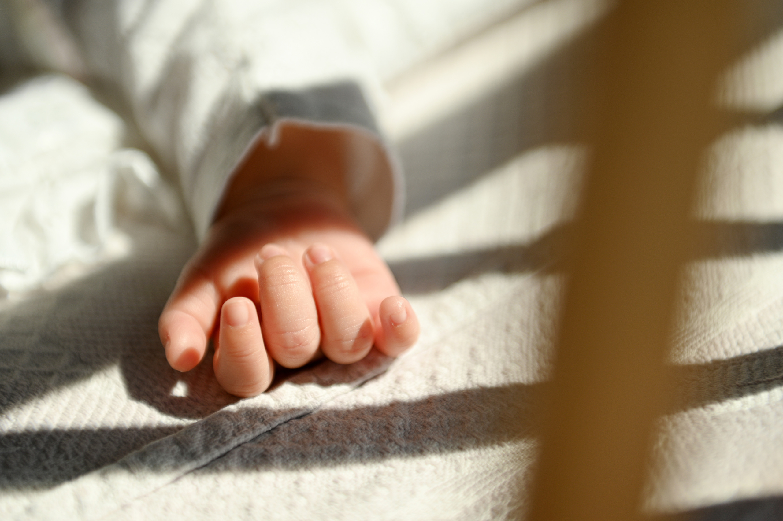 Домашняя съемка для Варвары, Виталия и маленькой Арьяны. Детский и семейный фотограф в Москве Ульяна Федорова