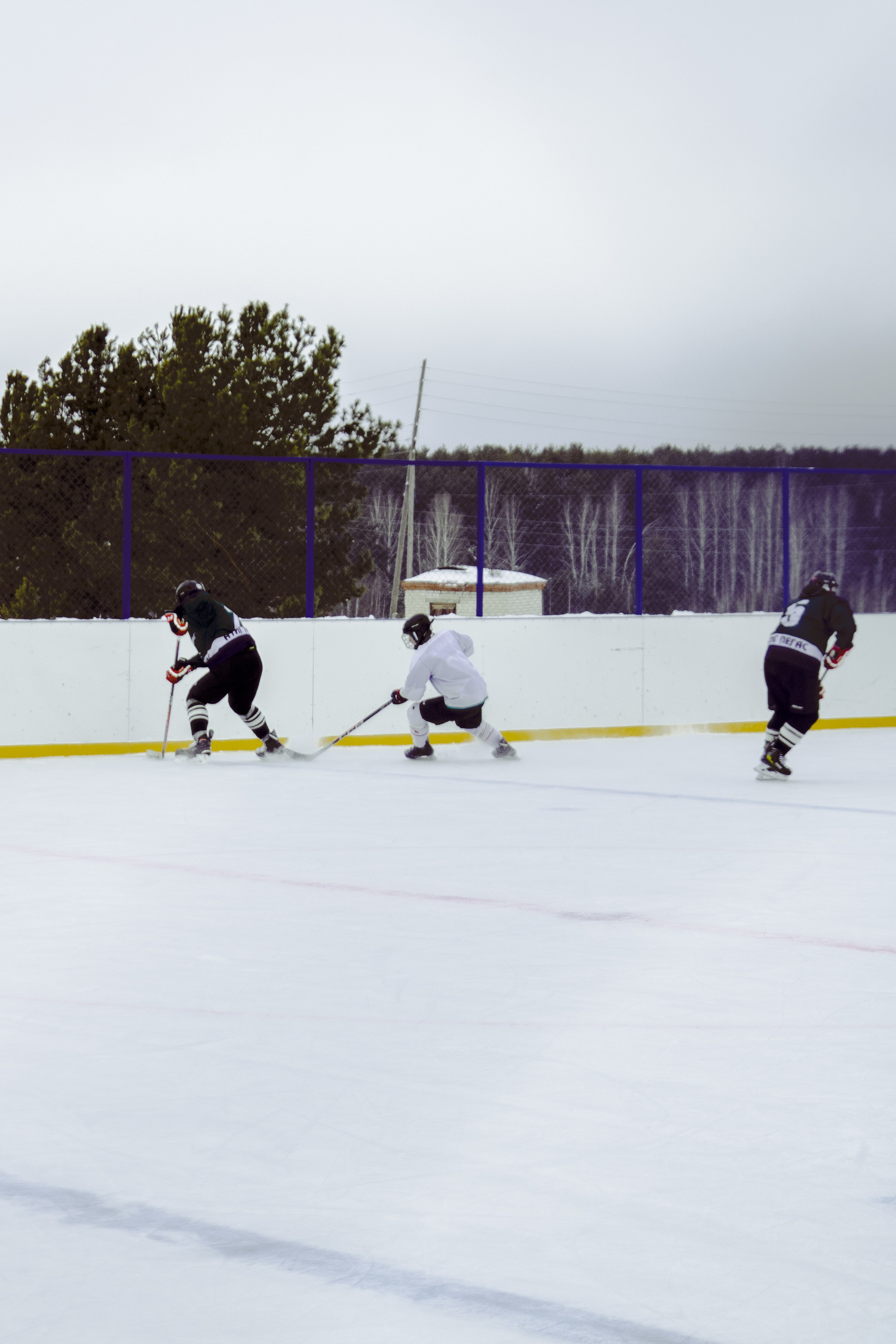 Хоккей 29.12.2024