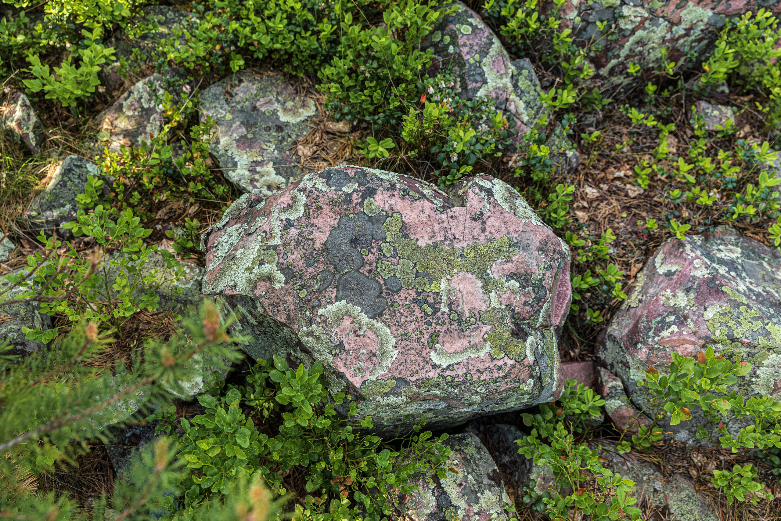 Турбаза. Фотограф в Петрозаводске Игорь Герасименко