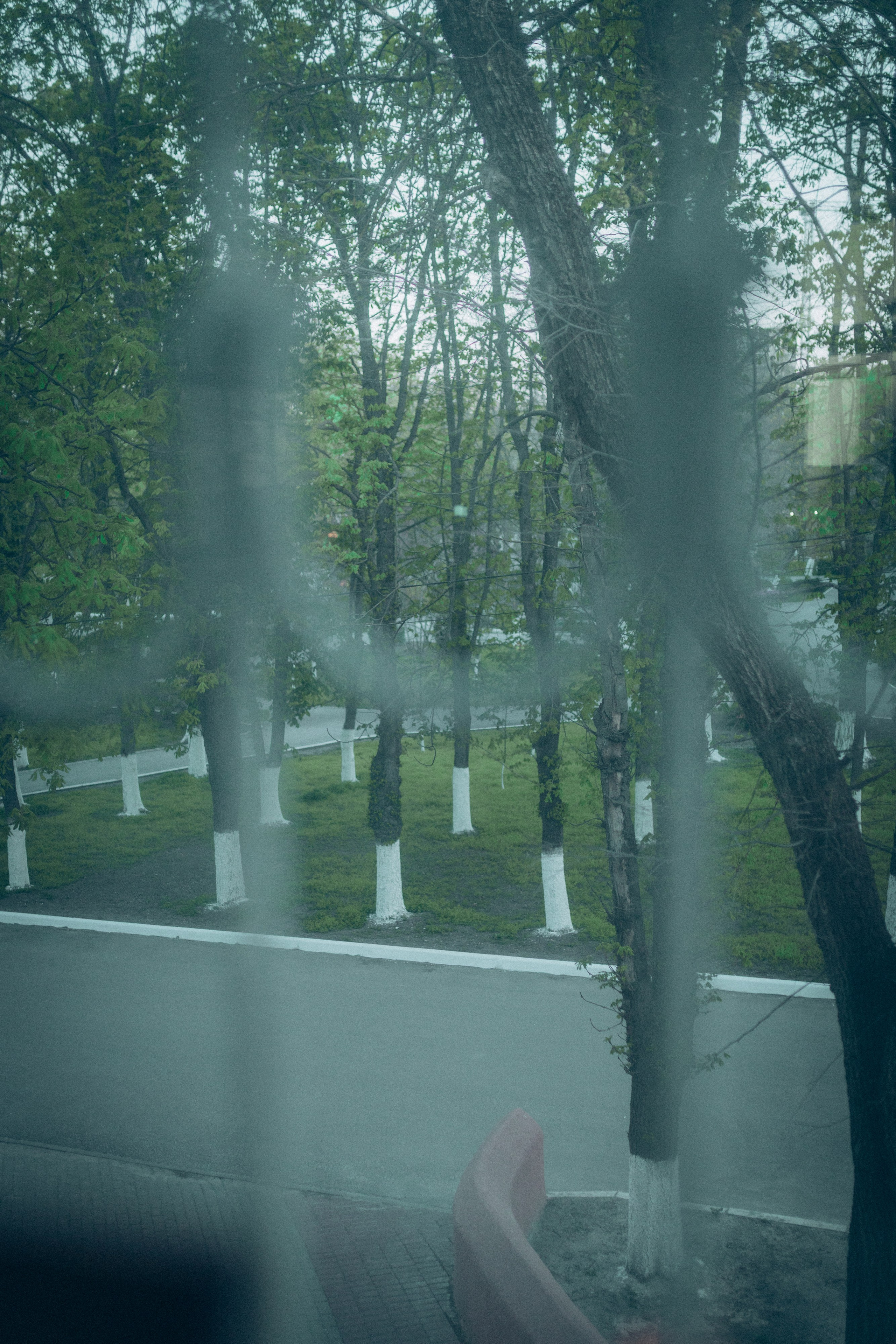 Рождение Радомира. Семейный фотограф и фотограф на роды в Ростове-на-Дону Мухина Виктория