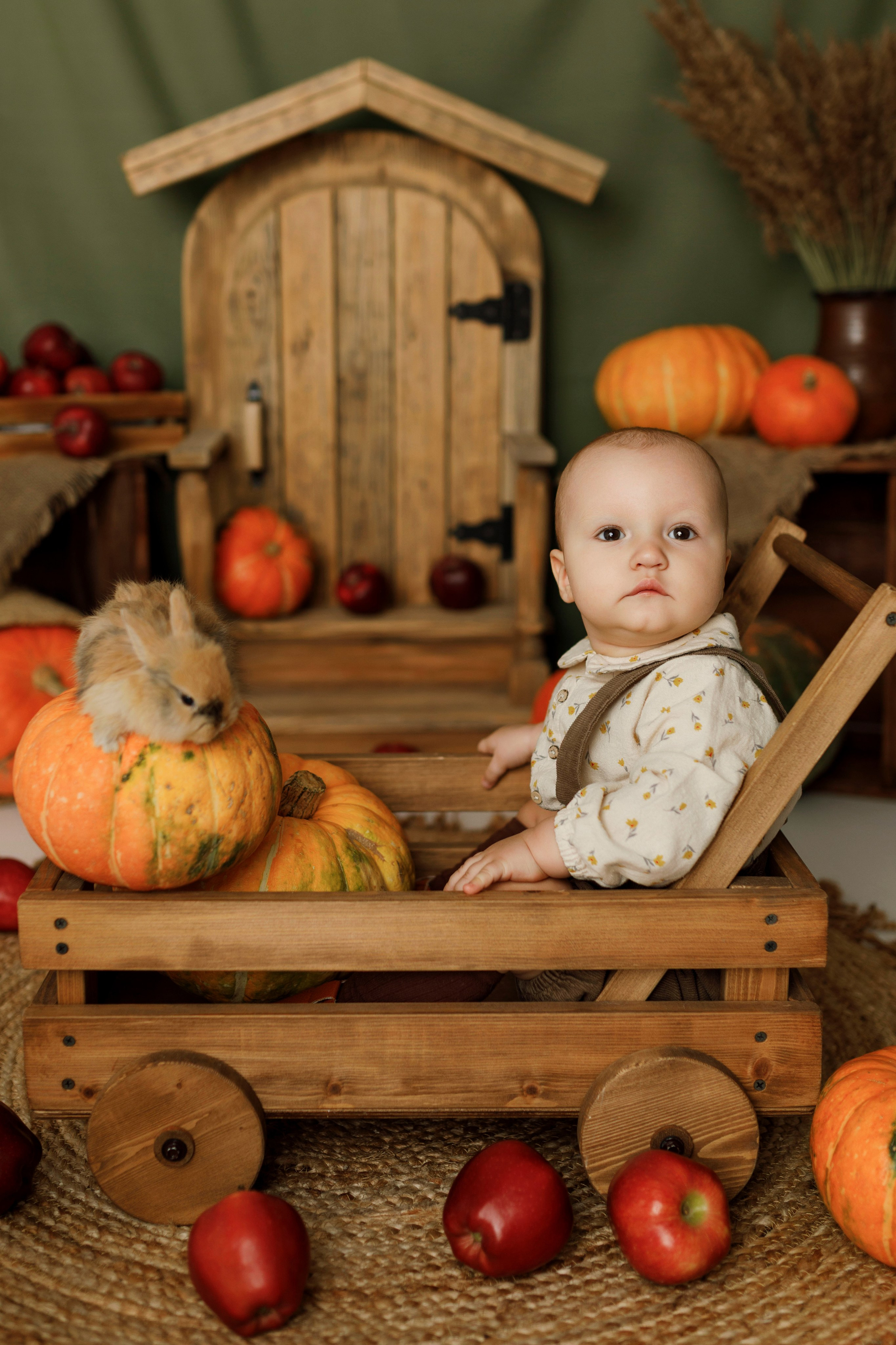 Фотопроекты. Фотограф новорождённых семейный фотограф Томск Елена Каплина