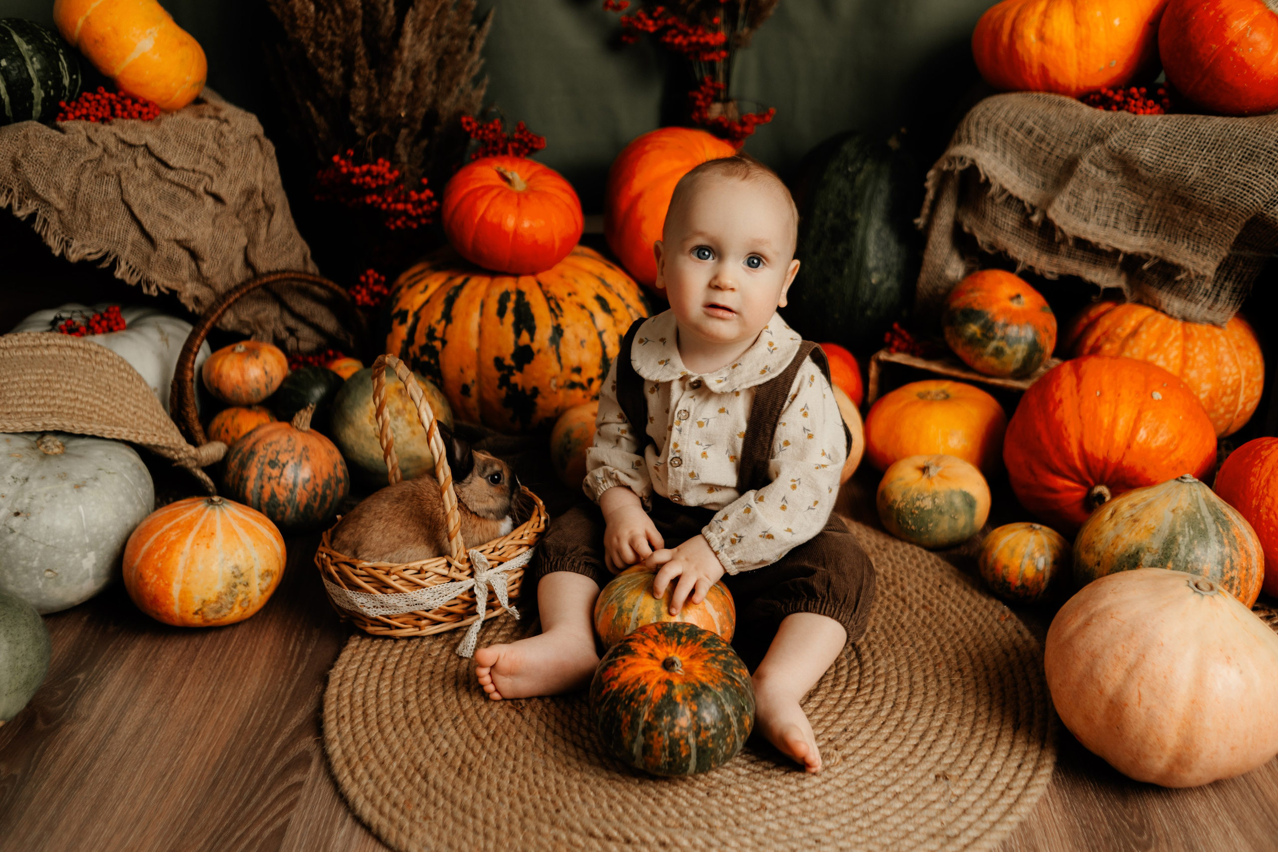 Фотопроекты. Фотограф новорождённых семейный фотограф Томск Елена Каплина