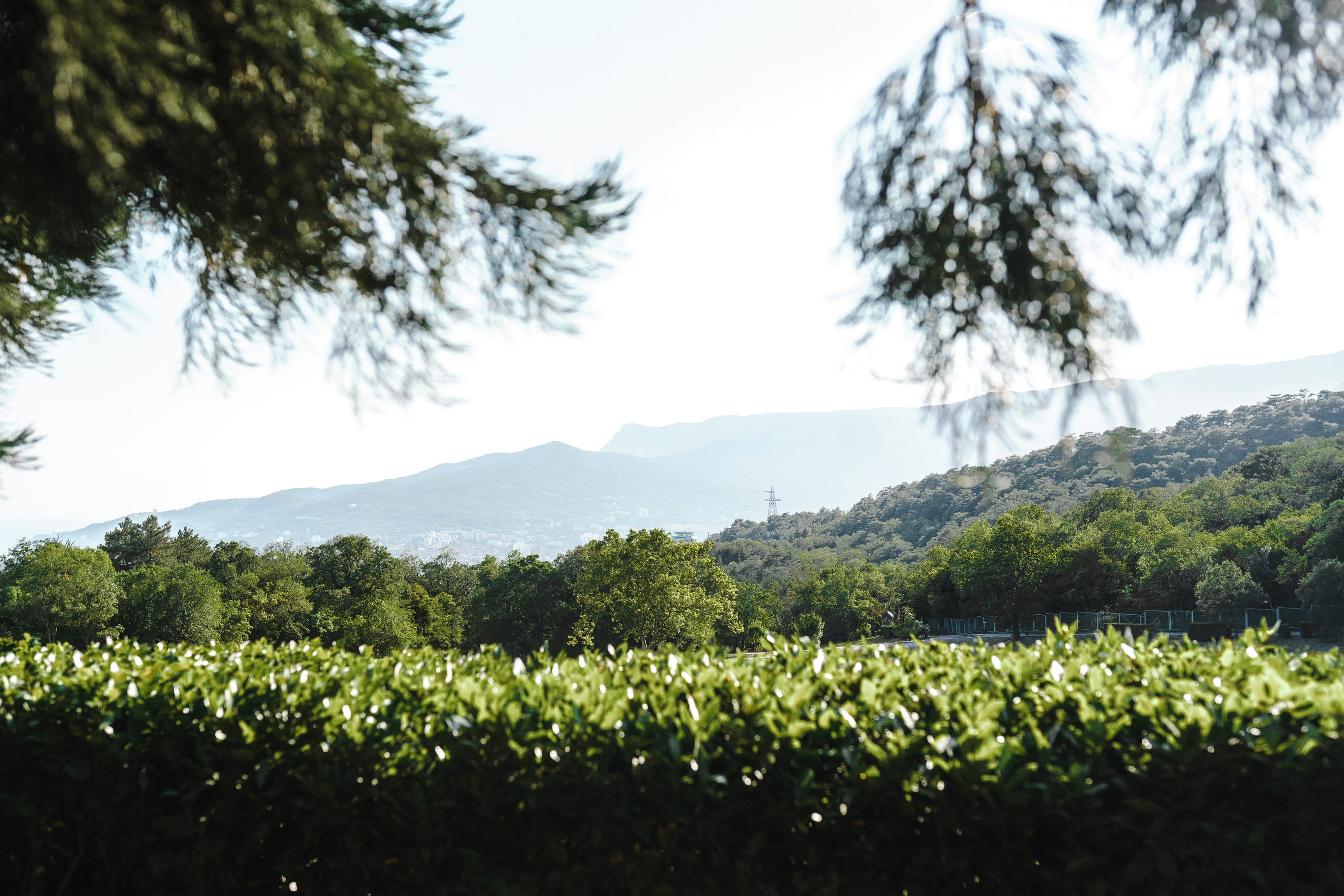 Массандра [] Крым. Фотограф в Нижнем Новгороде Александр Кудрявцев