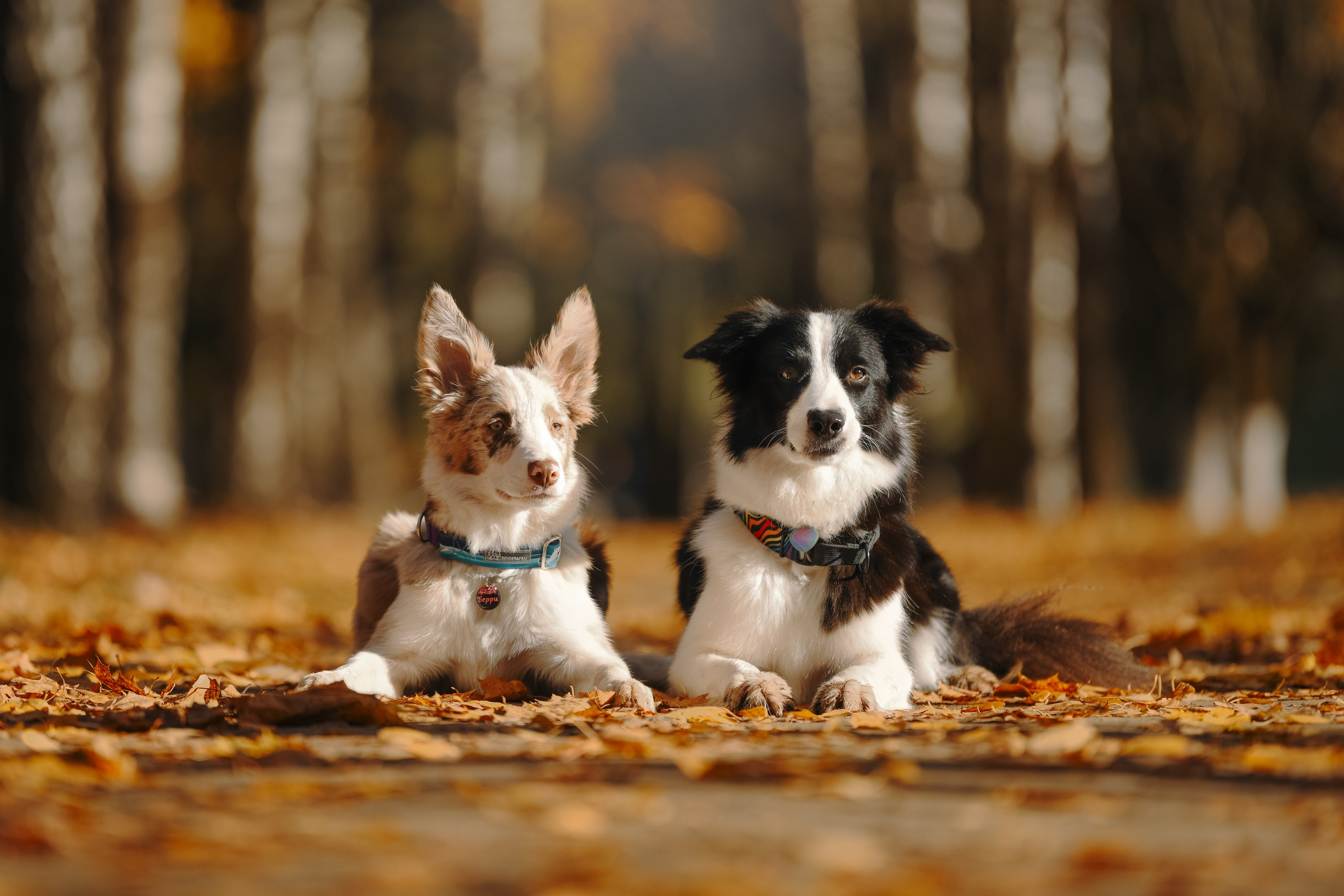 Художественная съёмка