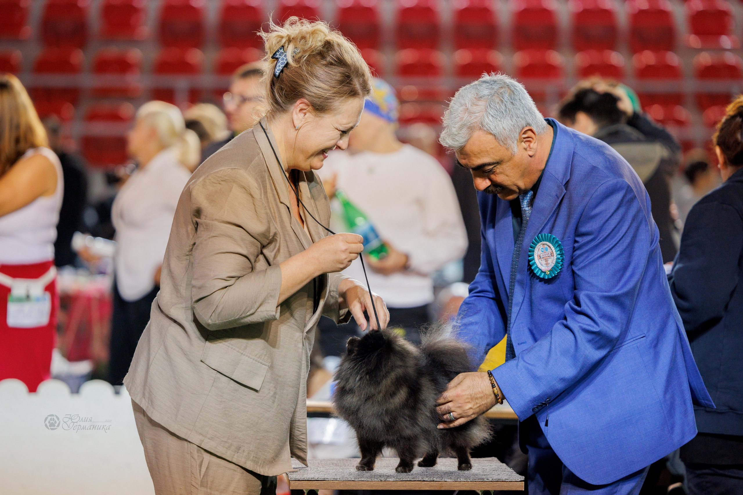 Грузия,Телави 2хCACIB 19-20.10.2024. Фотограф-анималист Юлия Германика