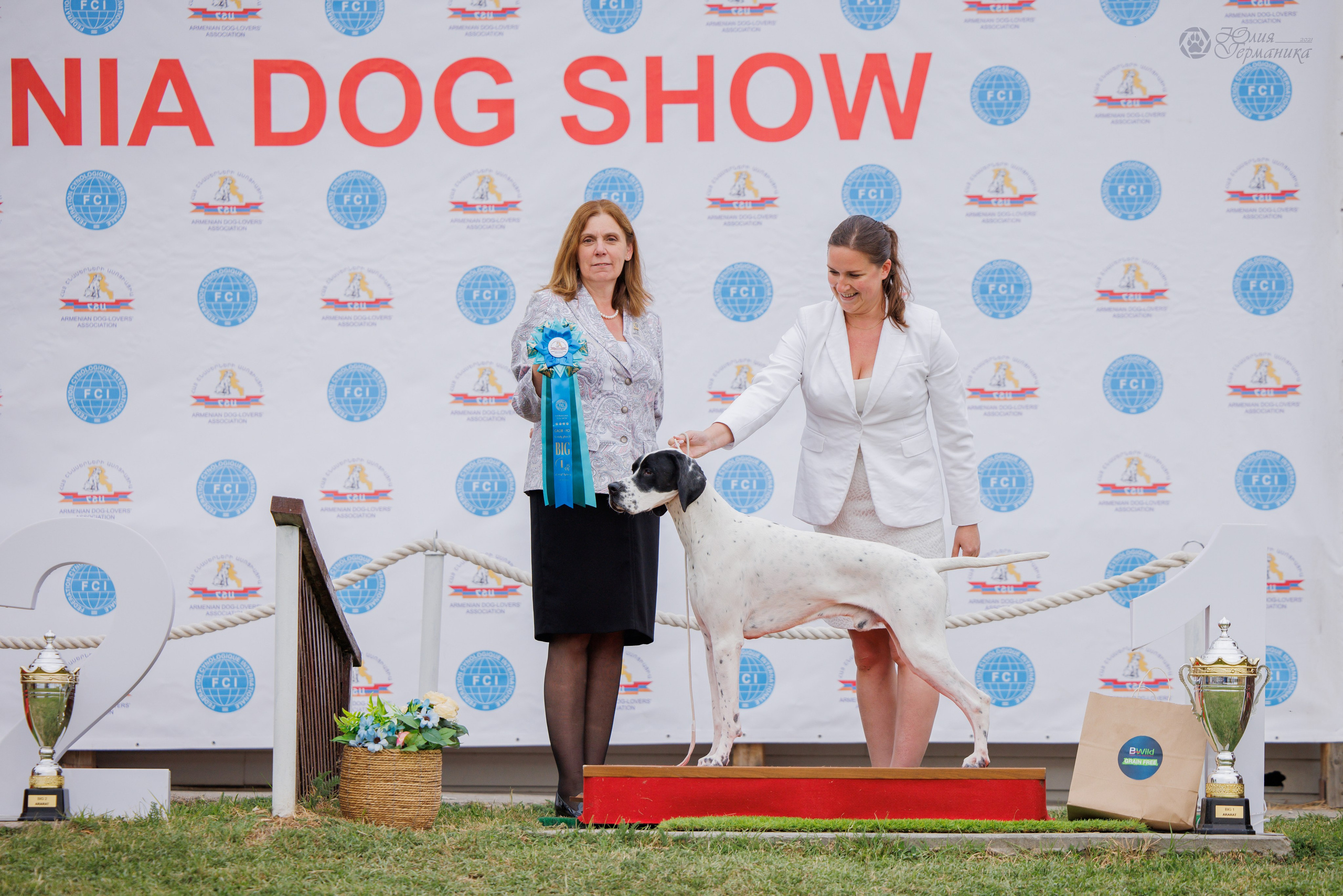 Армения,Ереван 3хCACIB 15-17.10.2024. Фотограф-анималист Юлия Германика