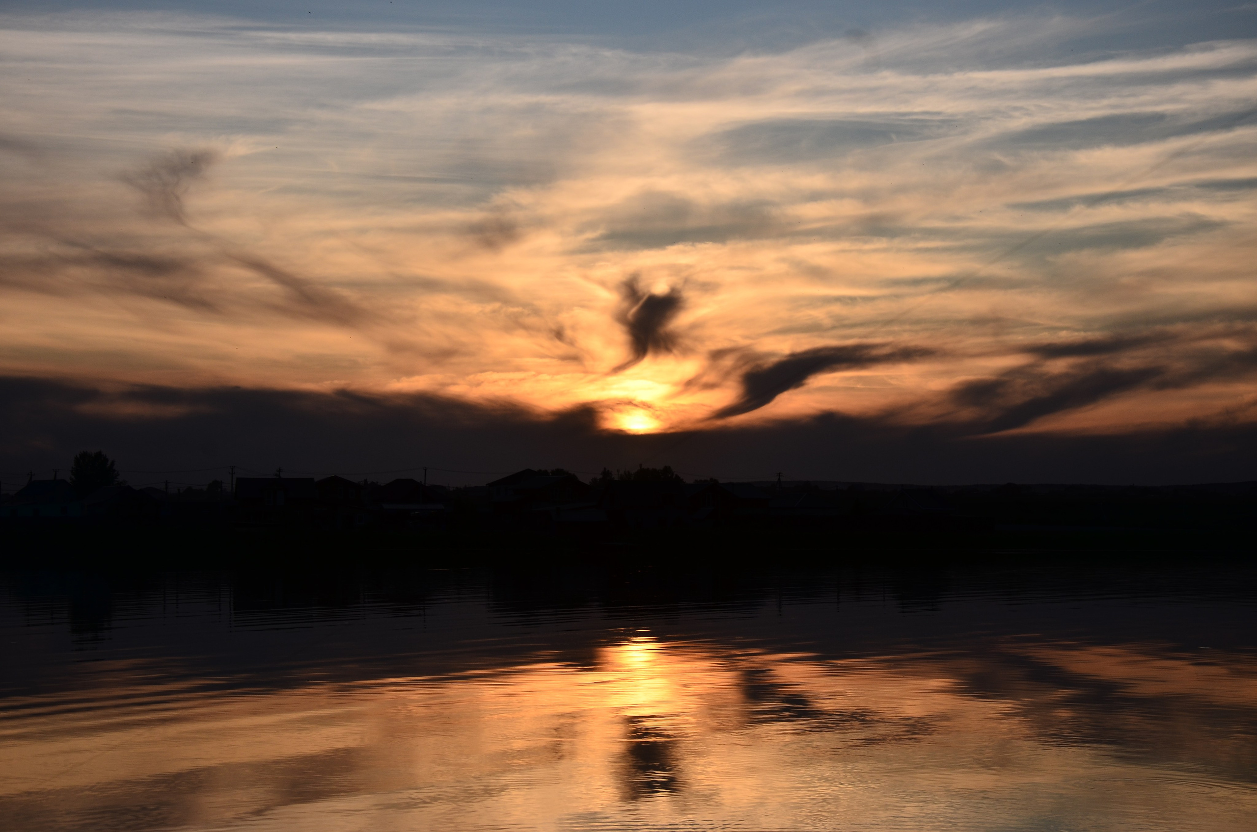 Дары природы. Фотограф viktor viktor