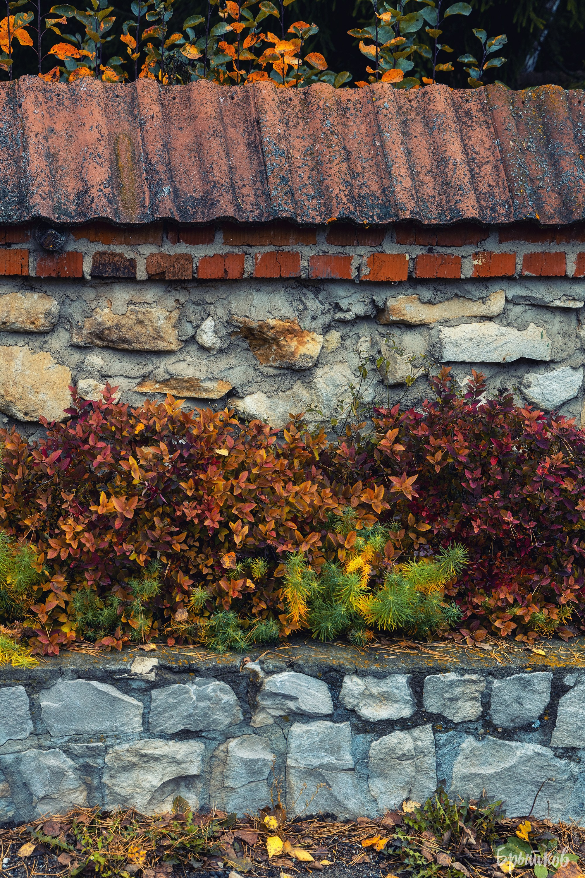 Поленово. Николай Брытков — фотограф в Туле