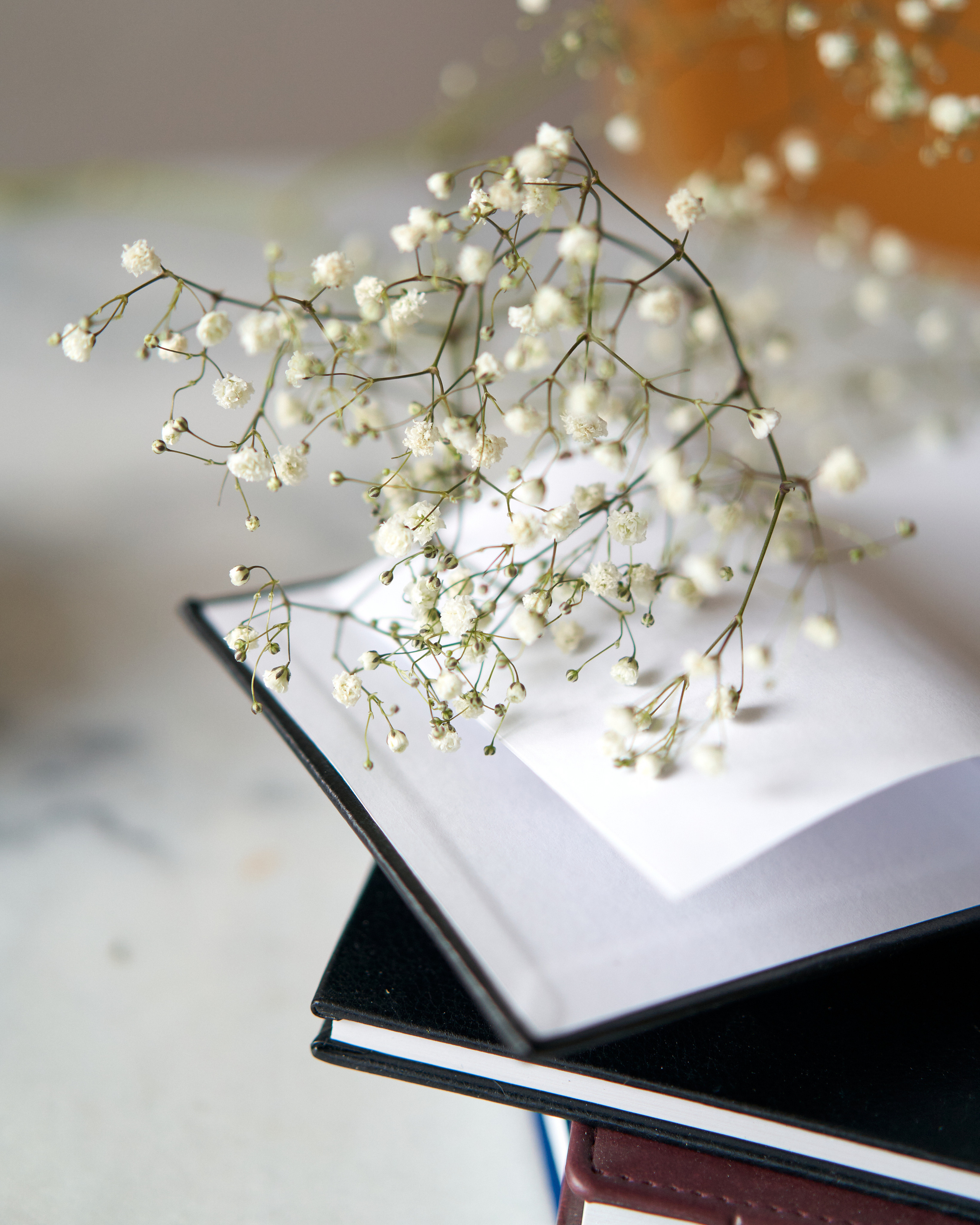 Психолог. Портретный фотограф в Санкт-Петербурге Анна Тукаева