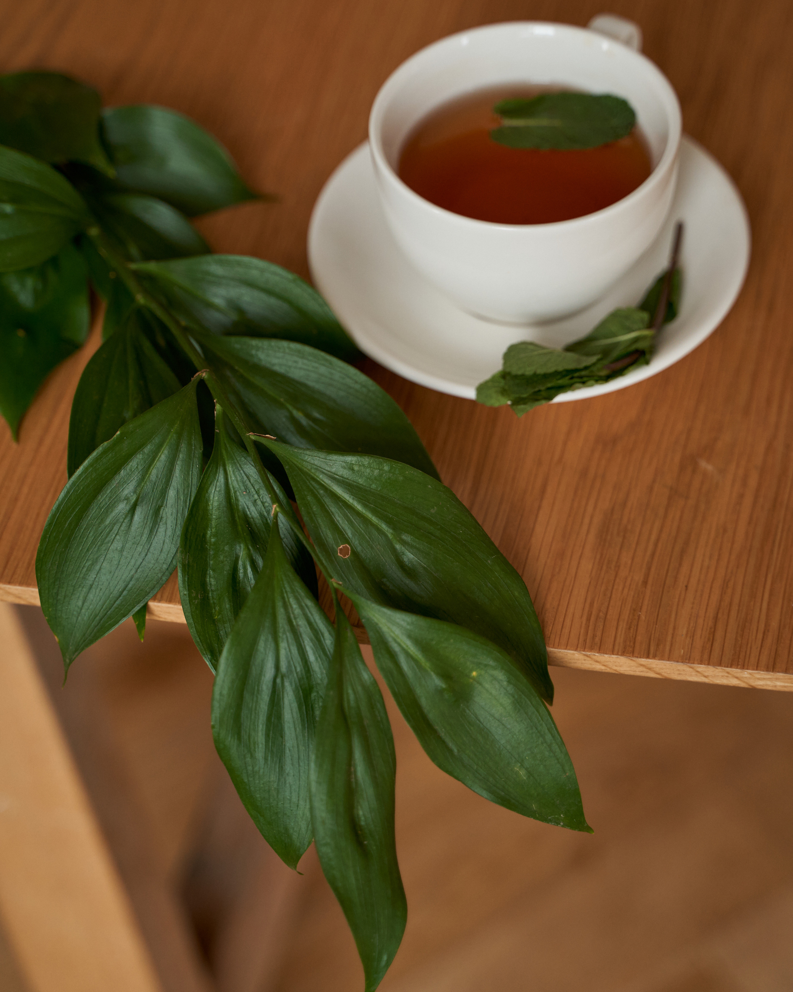 Психолог. Портретный фотограф в Санкт-Петербурге Анна Тукаева