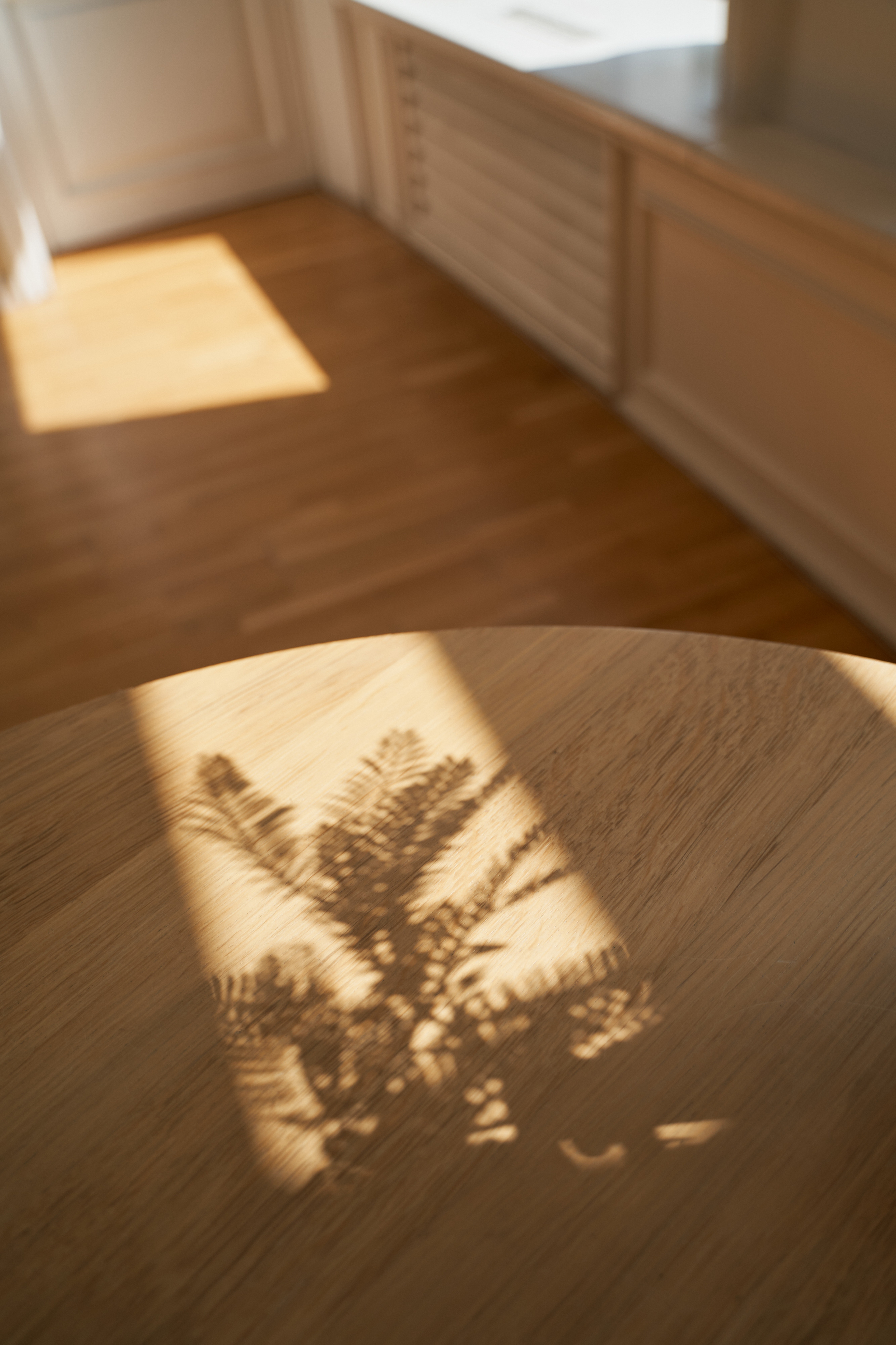 Репетитор по английскому языку. Портретный фотограф в Санкт-Петербурге Анна Тукаева