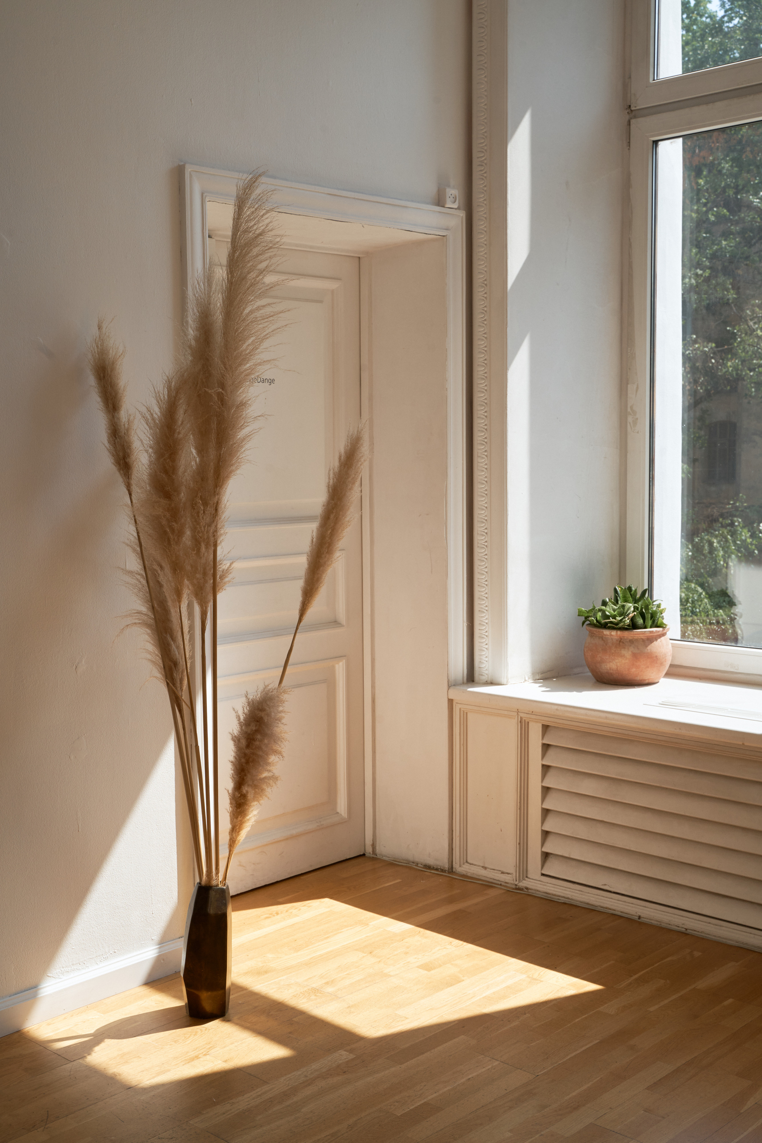 Репетитор по английскому языку. Портретный фотограф в Санкт-Петербурге Анна Тукаева