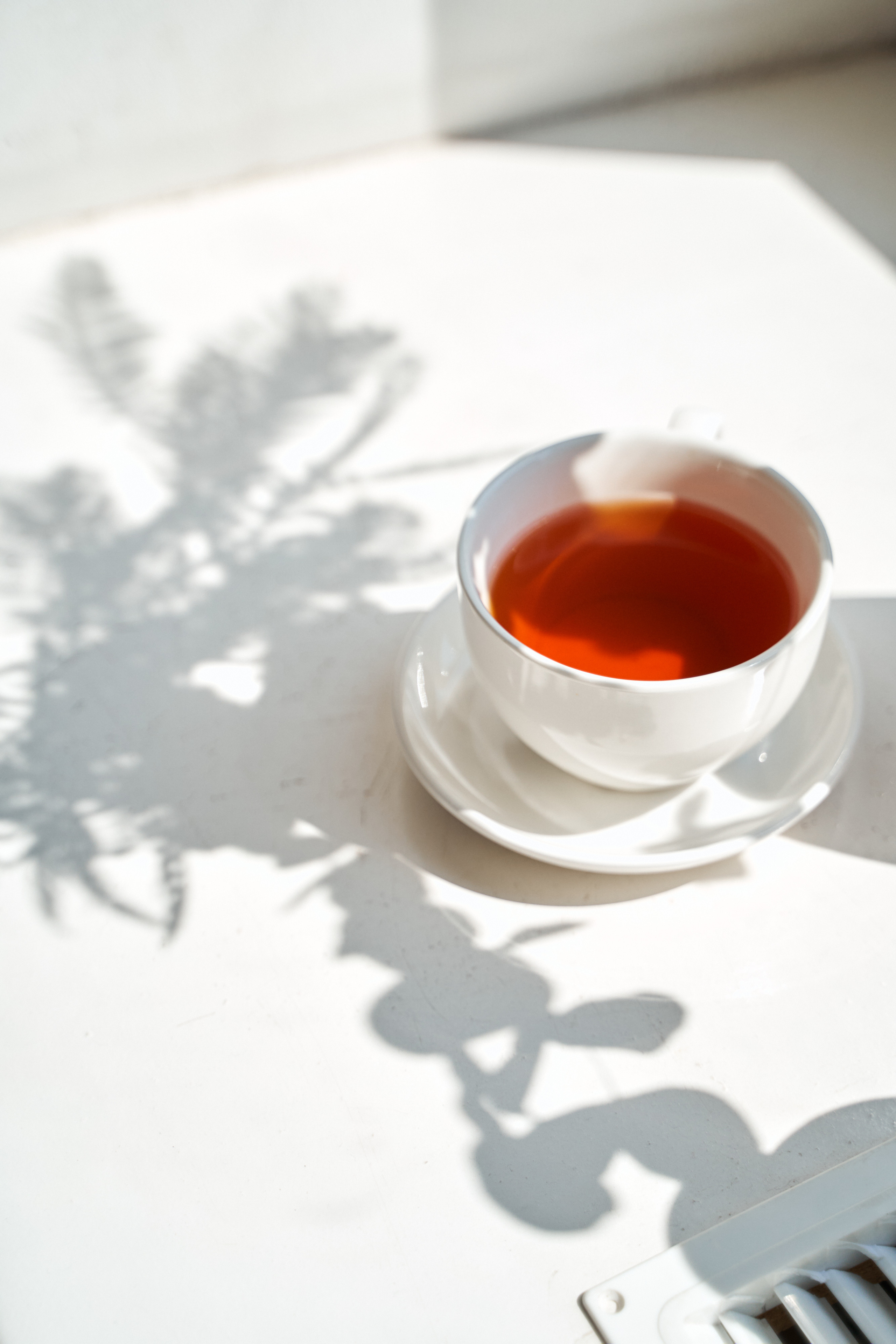 Репетитор по английскому языку. Портретный фотограф в Санкт-Петербурге Анна Тукаева