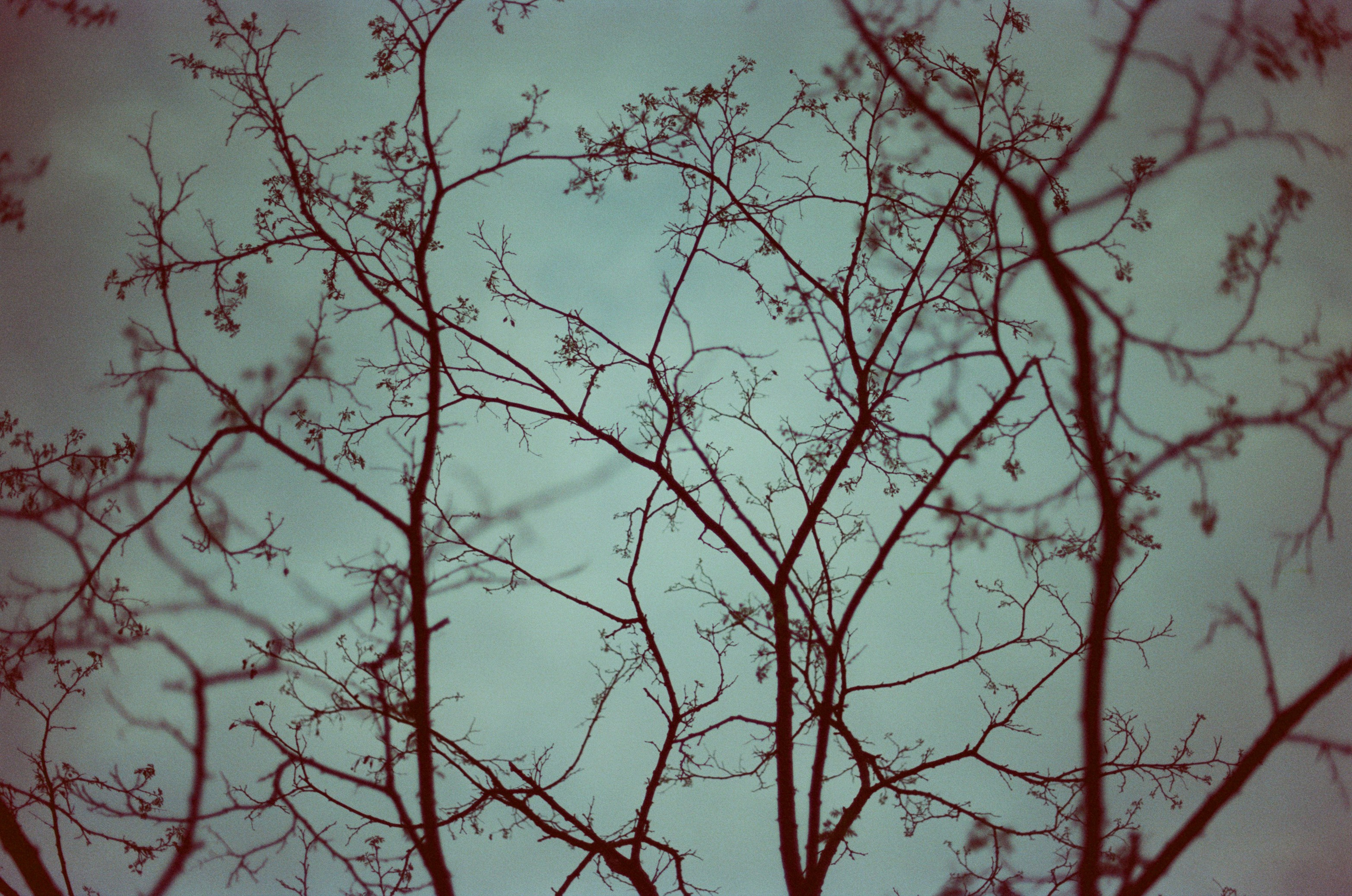 Follow you // ukraine, crimea. EVER EXPOSED