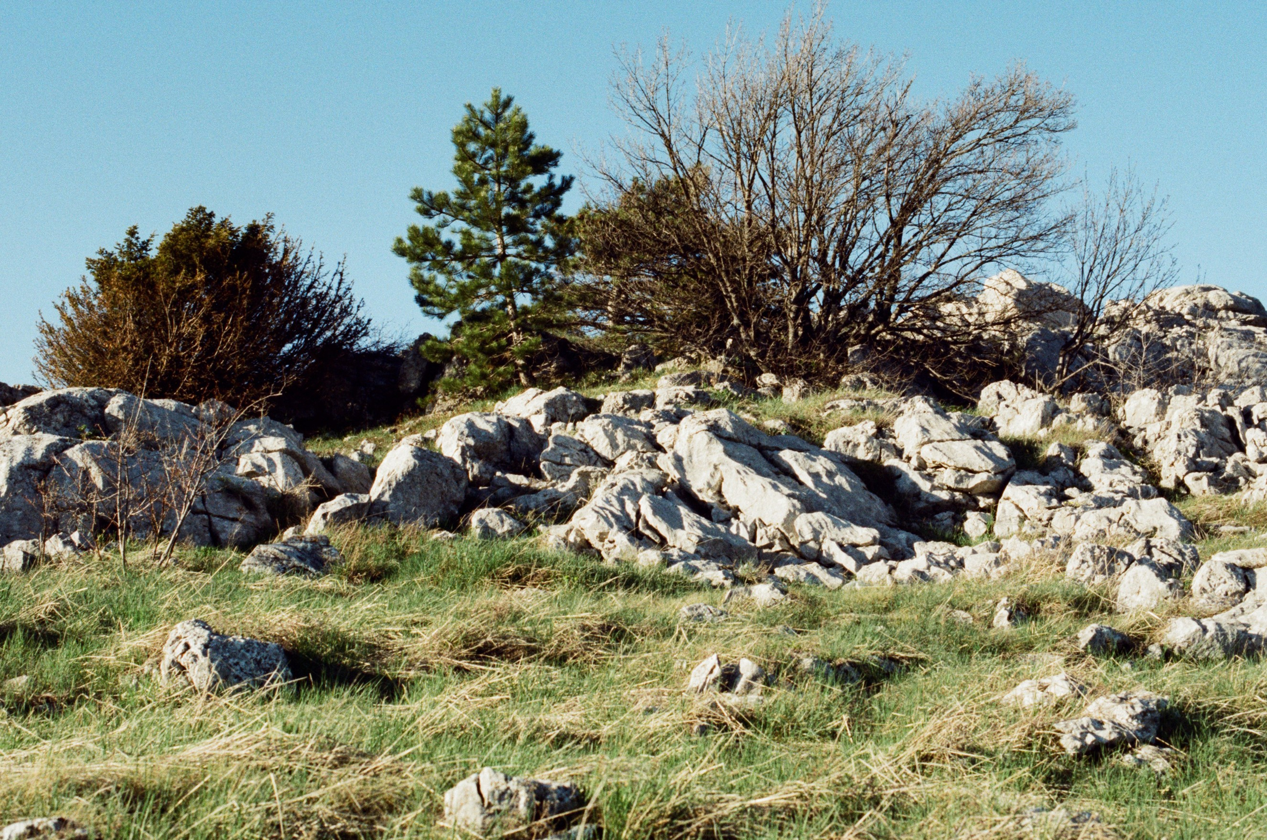 Some kind of madness // ukraine, crimea IV. EVER EXPOSED