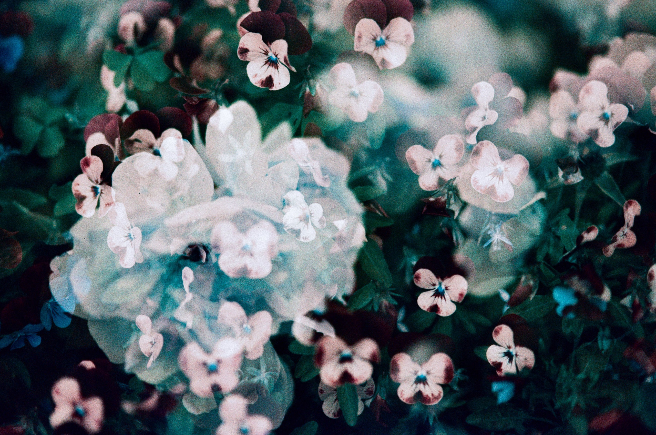 Pain shopping // ukraine, crimea VII. EVER EXPOSED