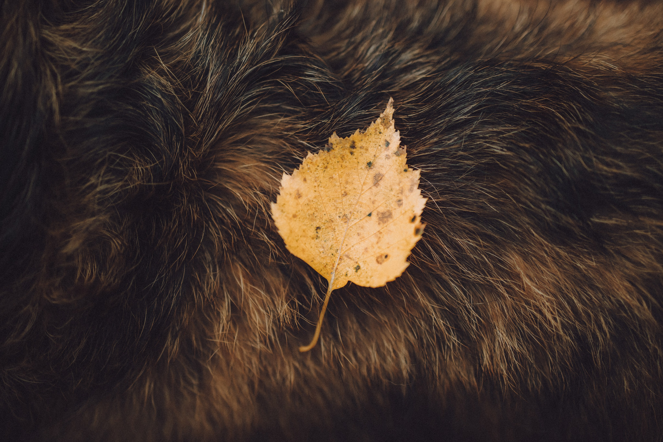 Рик, Джек и их семья